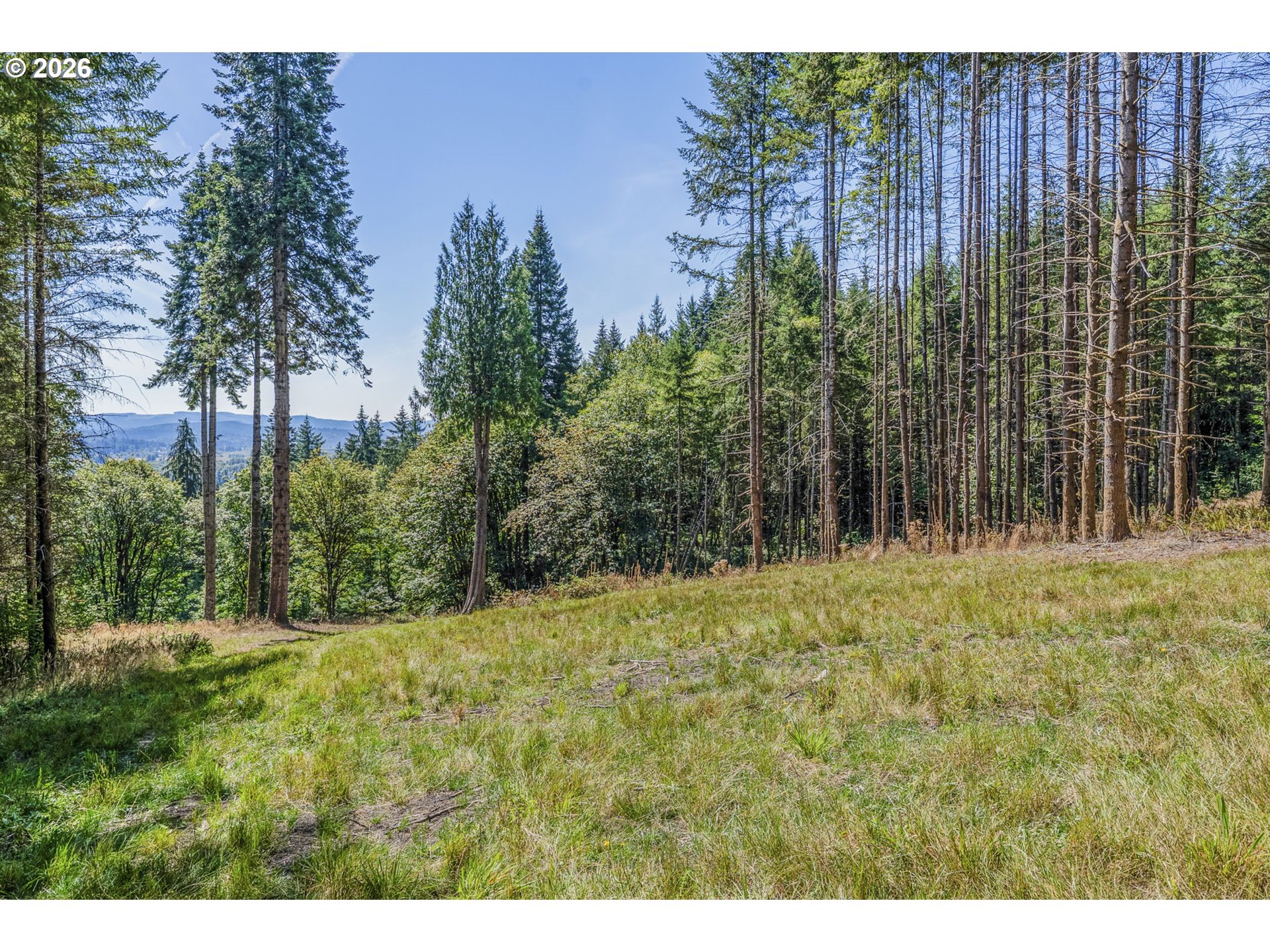 0 Old Tree Farm Dr 2 Property Photo 5