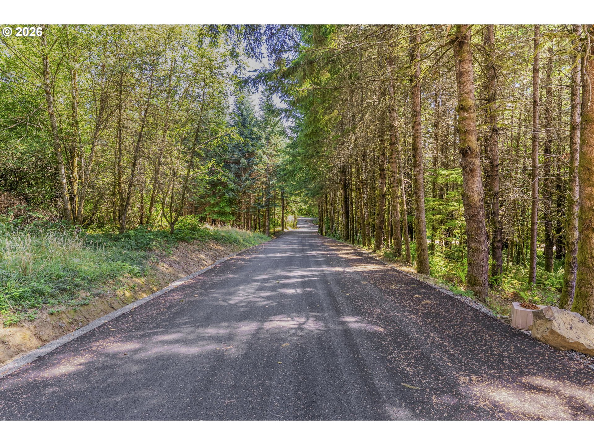 0 Old Tree Farm Dr 2 Property Photo 6