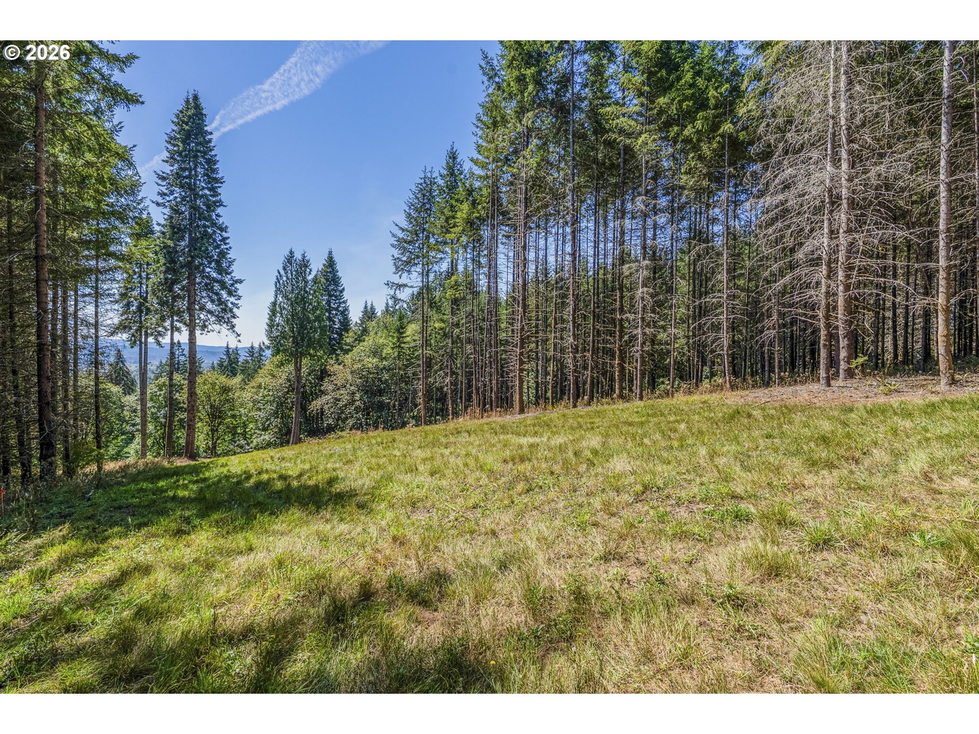 0 Old Tree Farm Dr 2 Property Photo 7