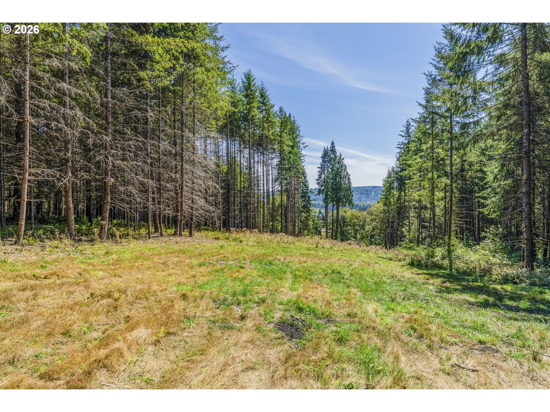 0 Old Tree Farm Dr 2 Property Photo 8