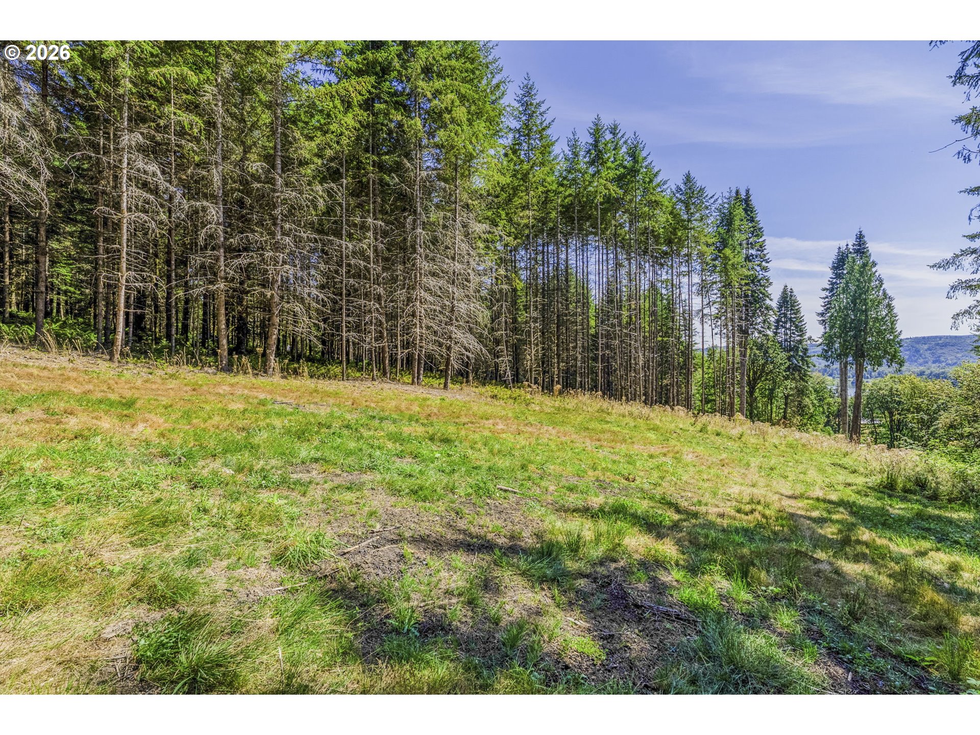 0 Old Tree Farm Dr 2 Property Photo 9