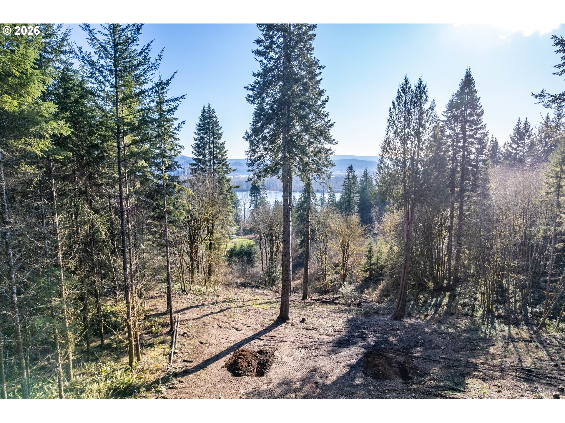 0 Old Tree Farm Dr 2 Property Photo 14