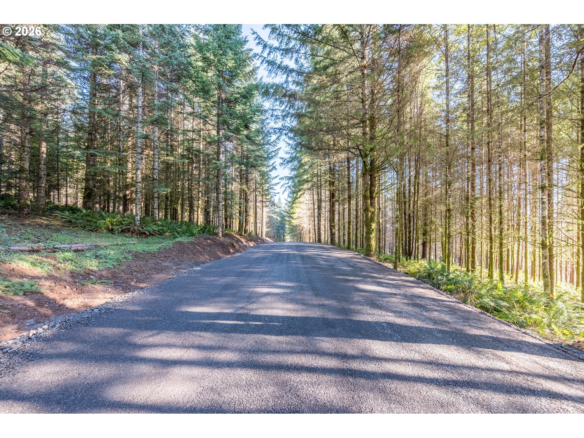 0 Old Tree Farm Dr 2 Property Photo 16