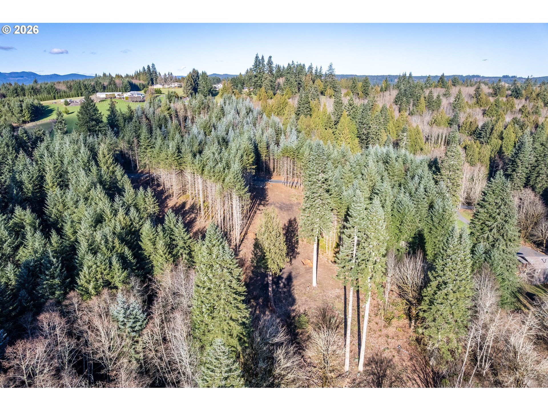 0 Old Tree Farm Dr 2 Property Photo 17