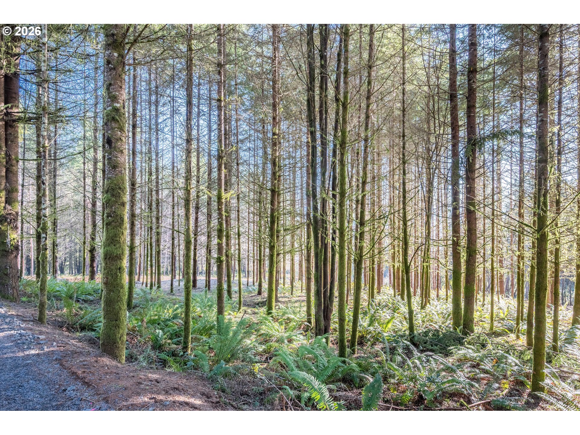 0 Old Tree Farm Dr 2 Property Photo 21