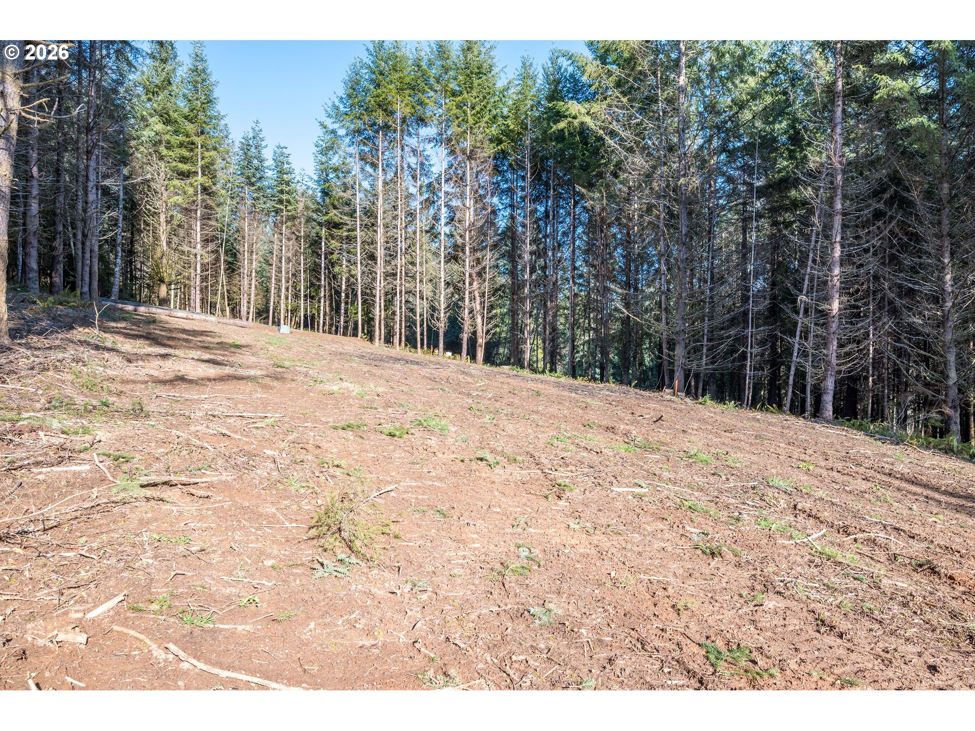 0 Old Tree Farm Dr 2 Property Photo 23