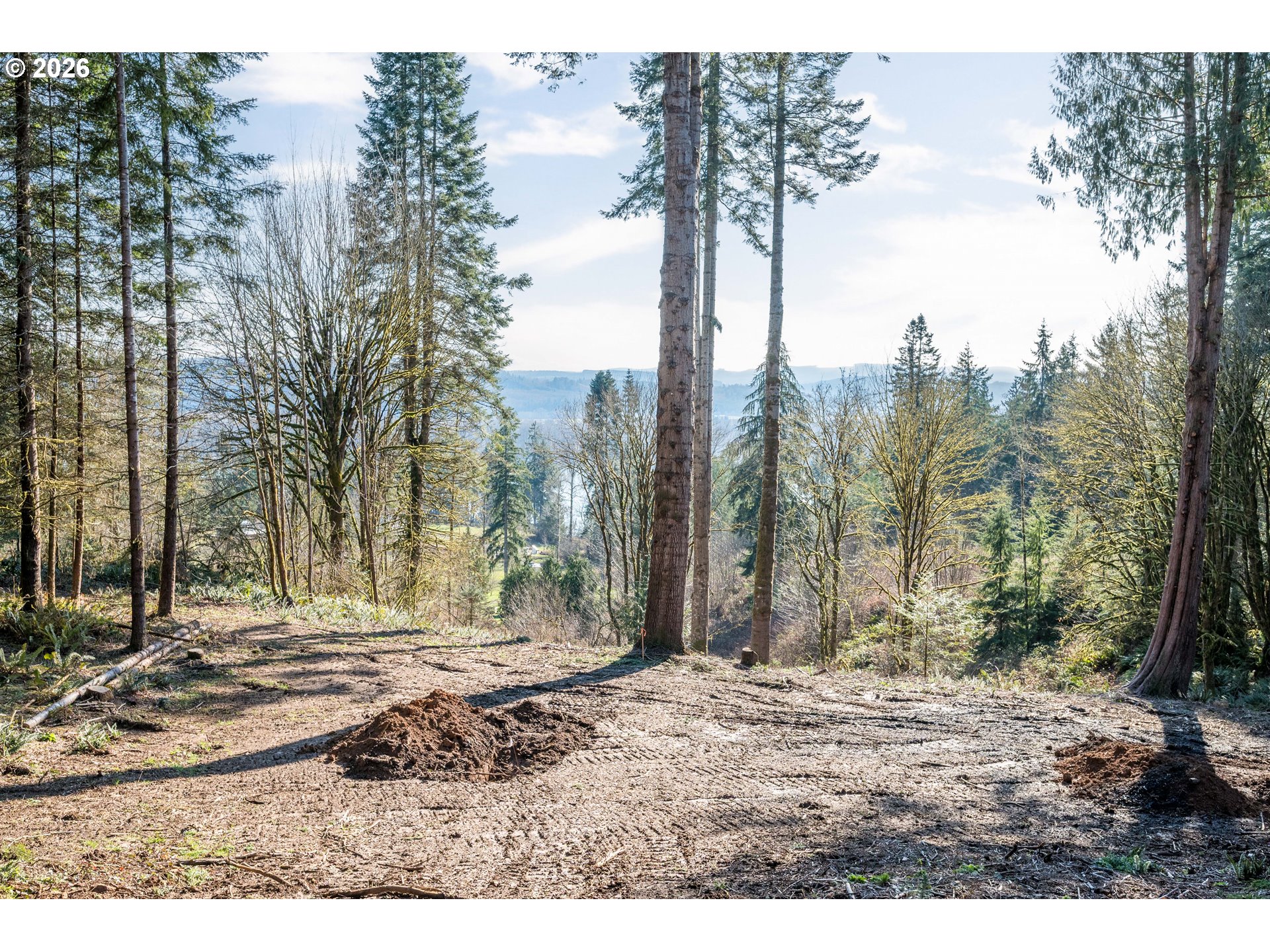 0 Old Tree Farm Dr 2 Property Photo 24