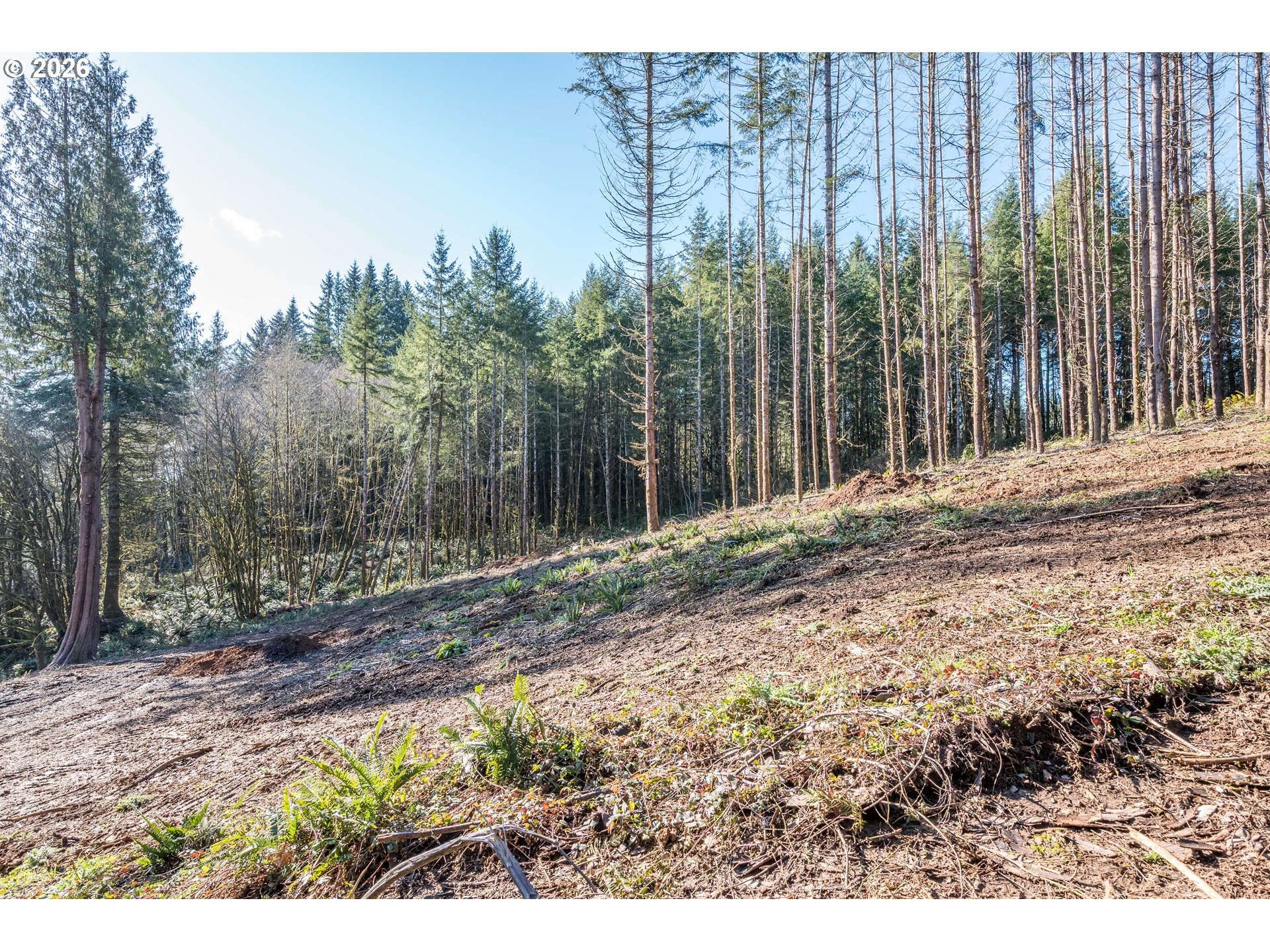 0 Old Tree Farm Dr 2 Property Photo 25