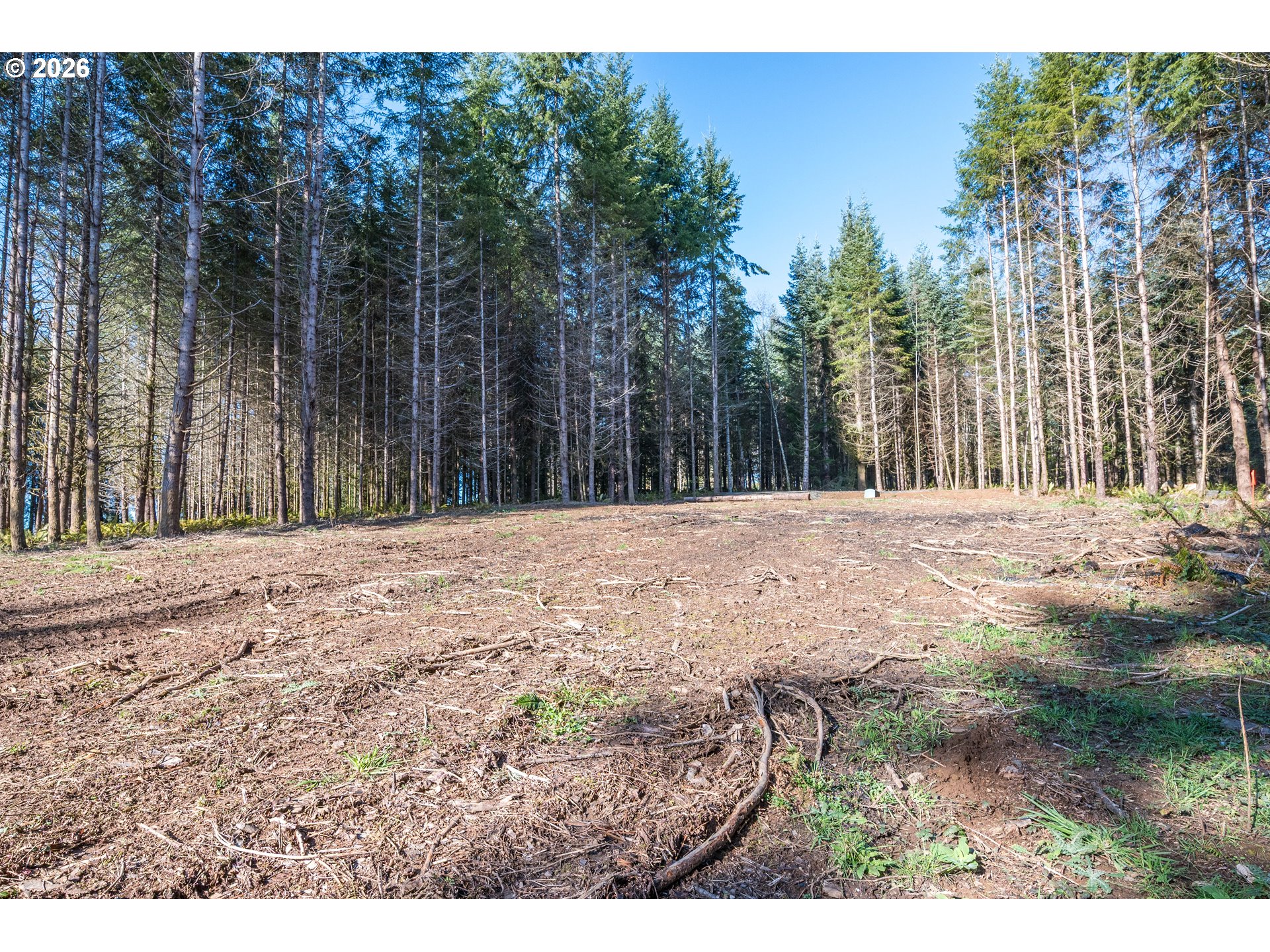0 Old Tree Farm Dr 2 Property Photo 26