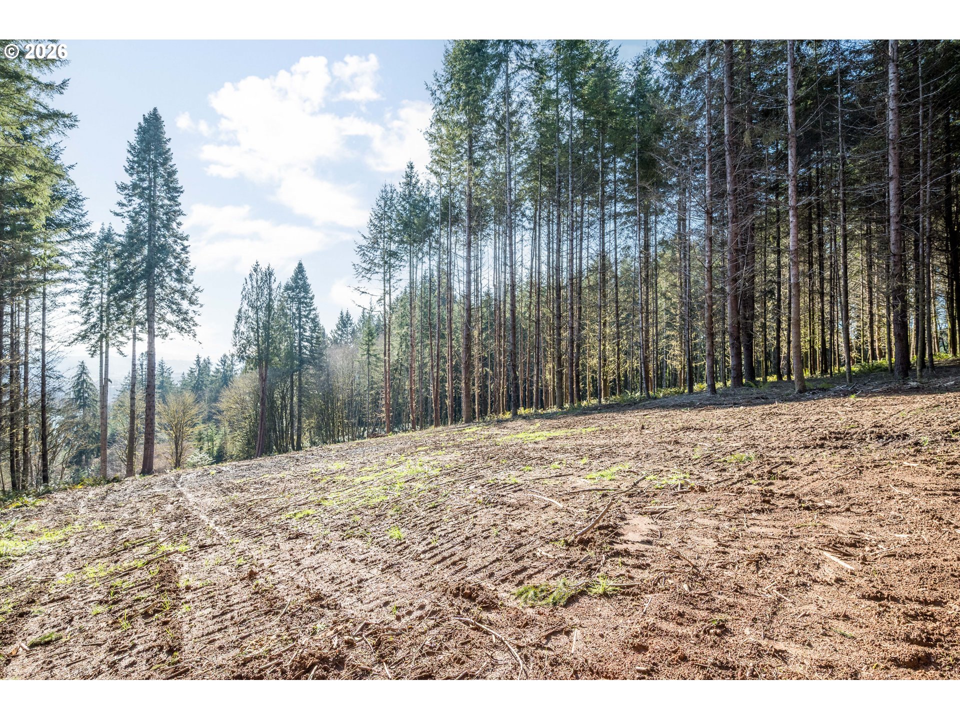 0 Old Tree Farm Dr 2 Property Photo 27