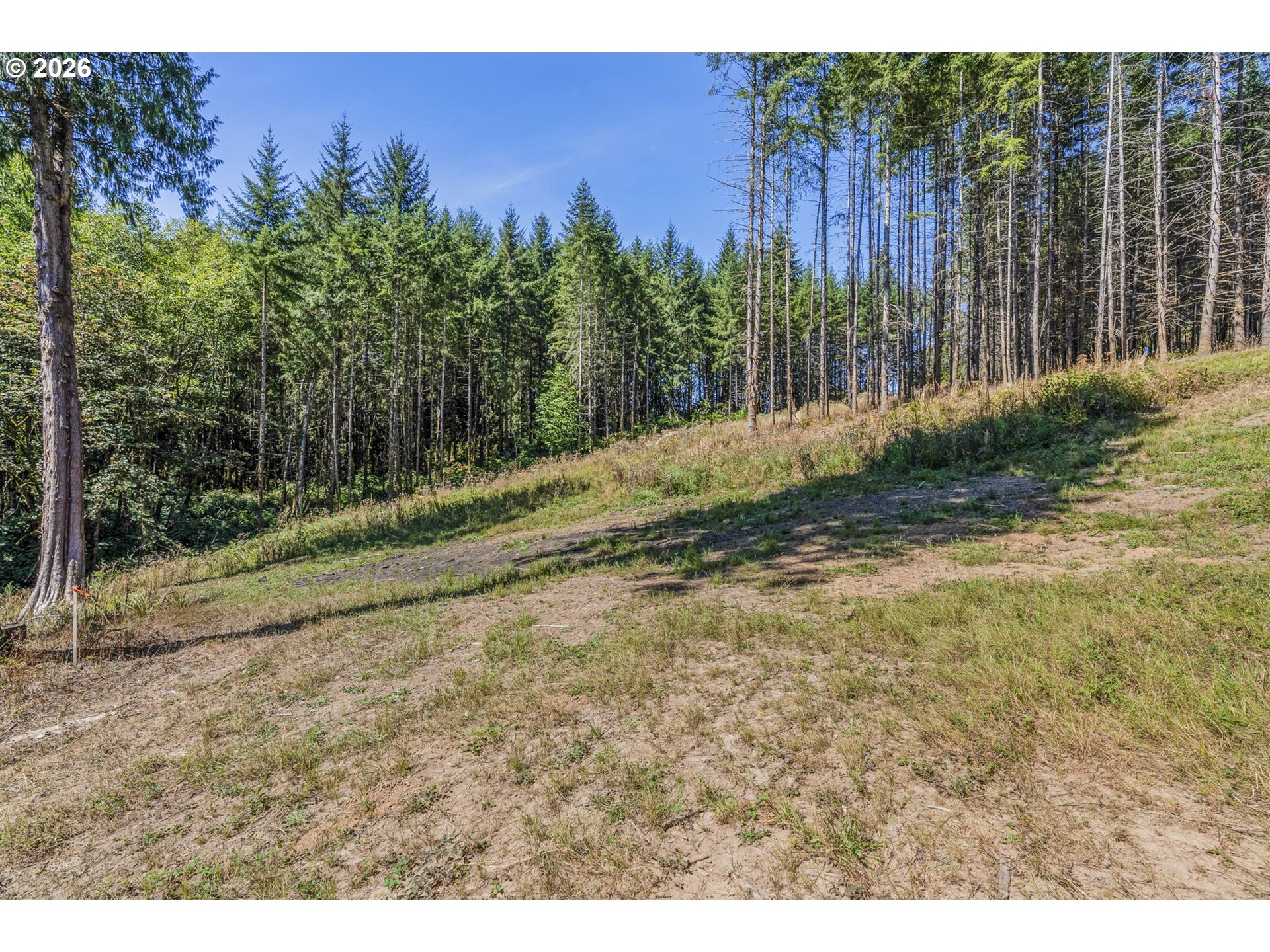 0 Old Tree Farm Dr 2 Property Photo 28