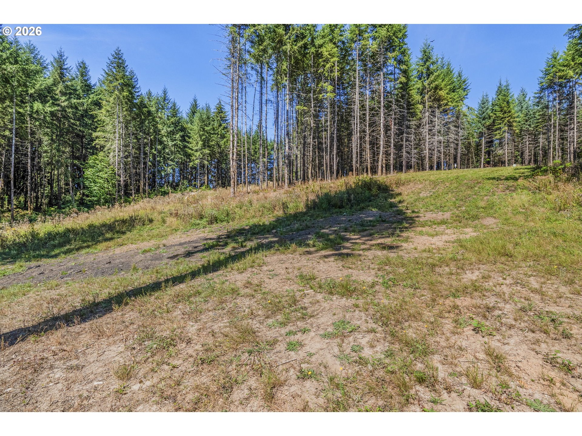 0 Old Tree Farm Dr 2 Property Photo 29