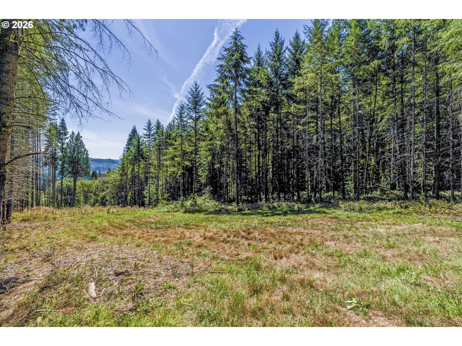 0 Old Tree Farm Dr 2 Property Photo 30