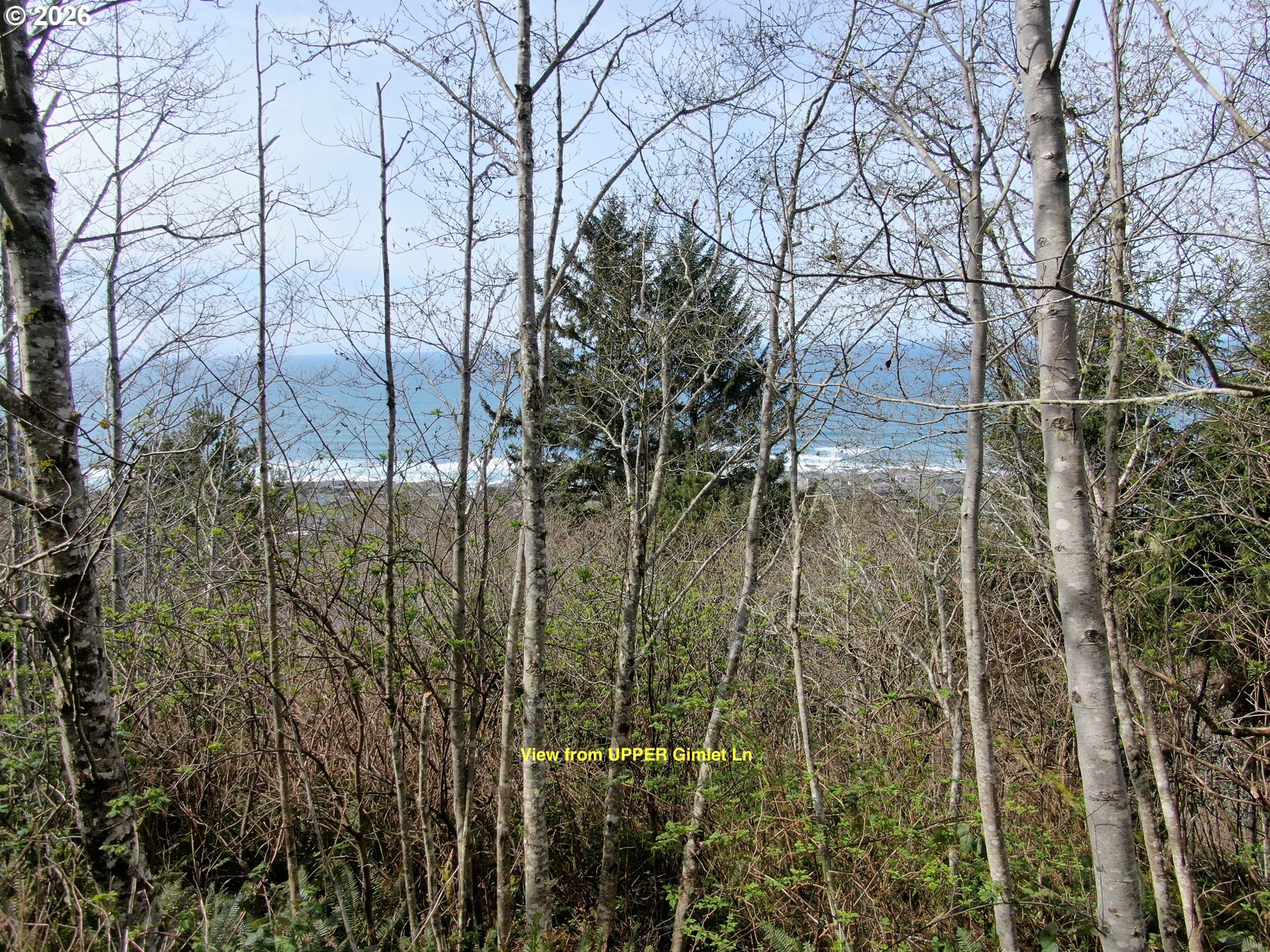 17 Gimlet Ln Property Photo 12