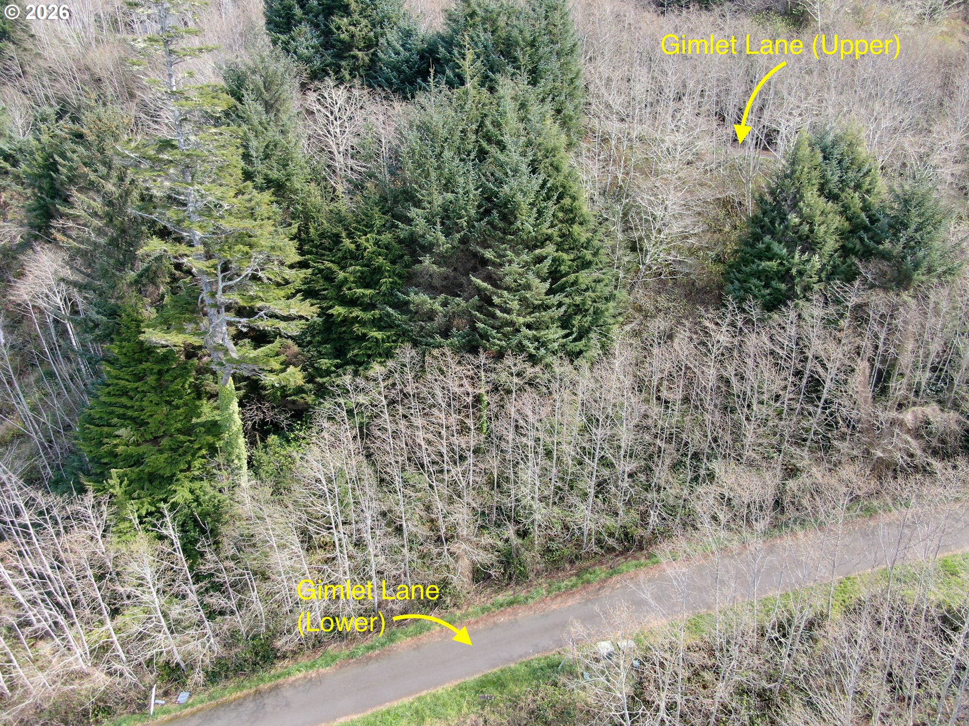 17 Gimlet Ln Property Photo 17