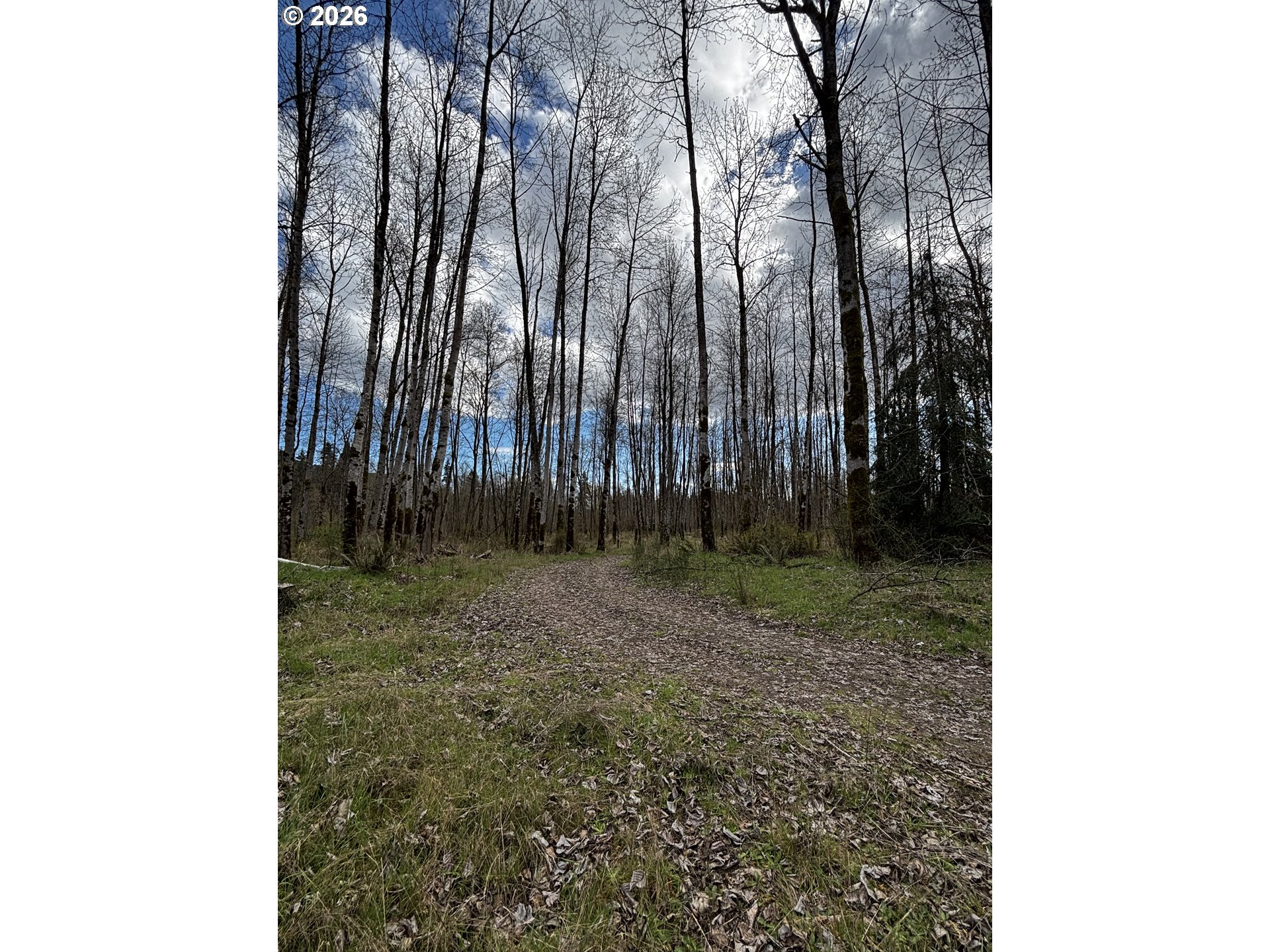 130 Horseshoe Bend Property Photo 2