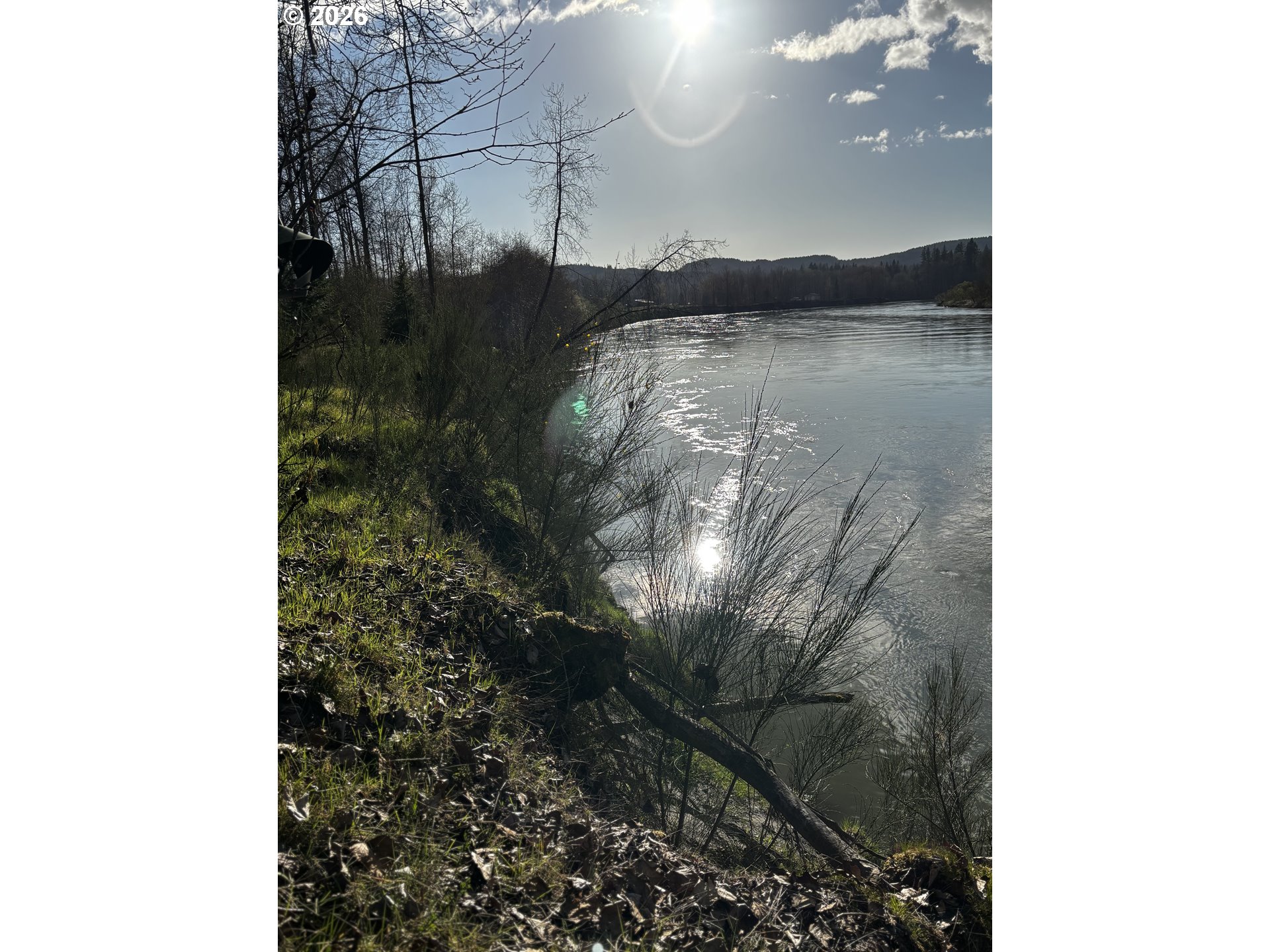 130 Horseshoe Bend Property Photo 3