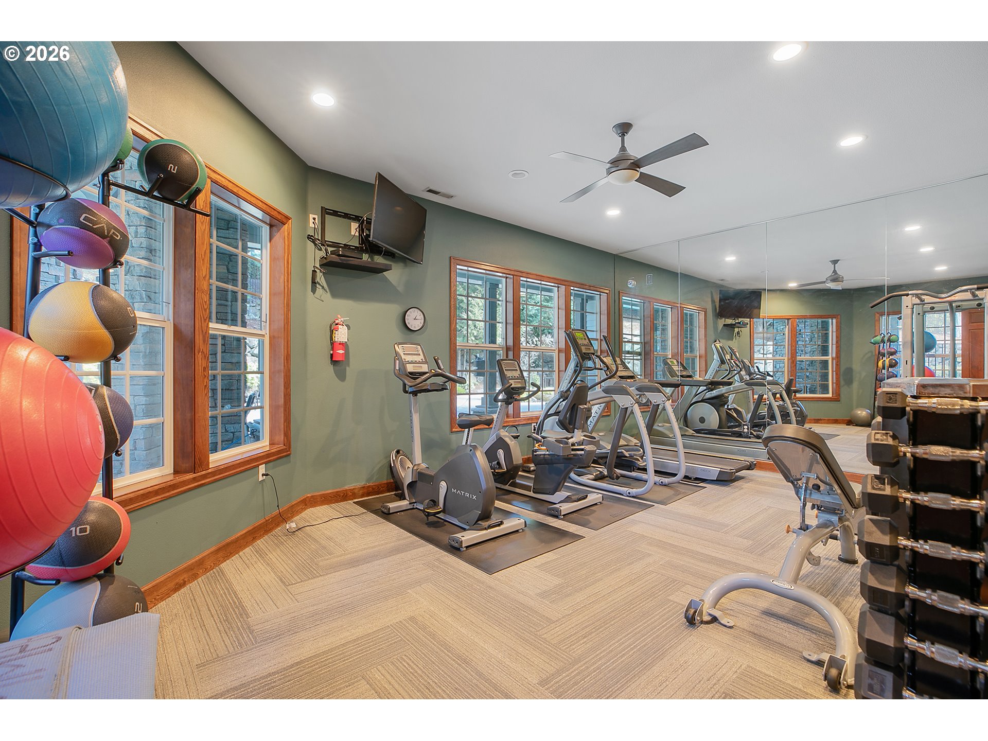 2365 Snowberry Ridge Ct Property Photo 36