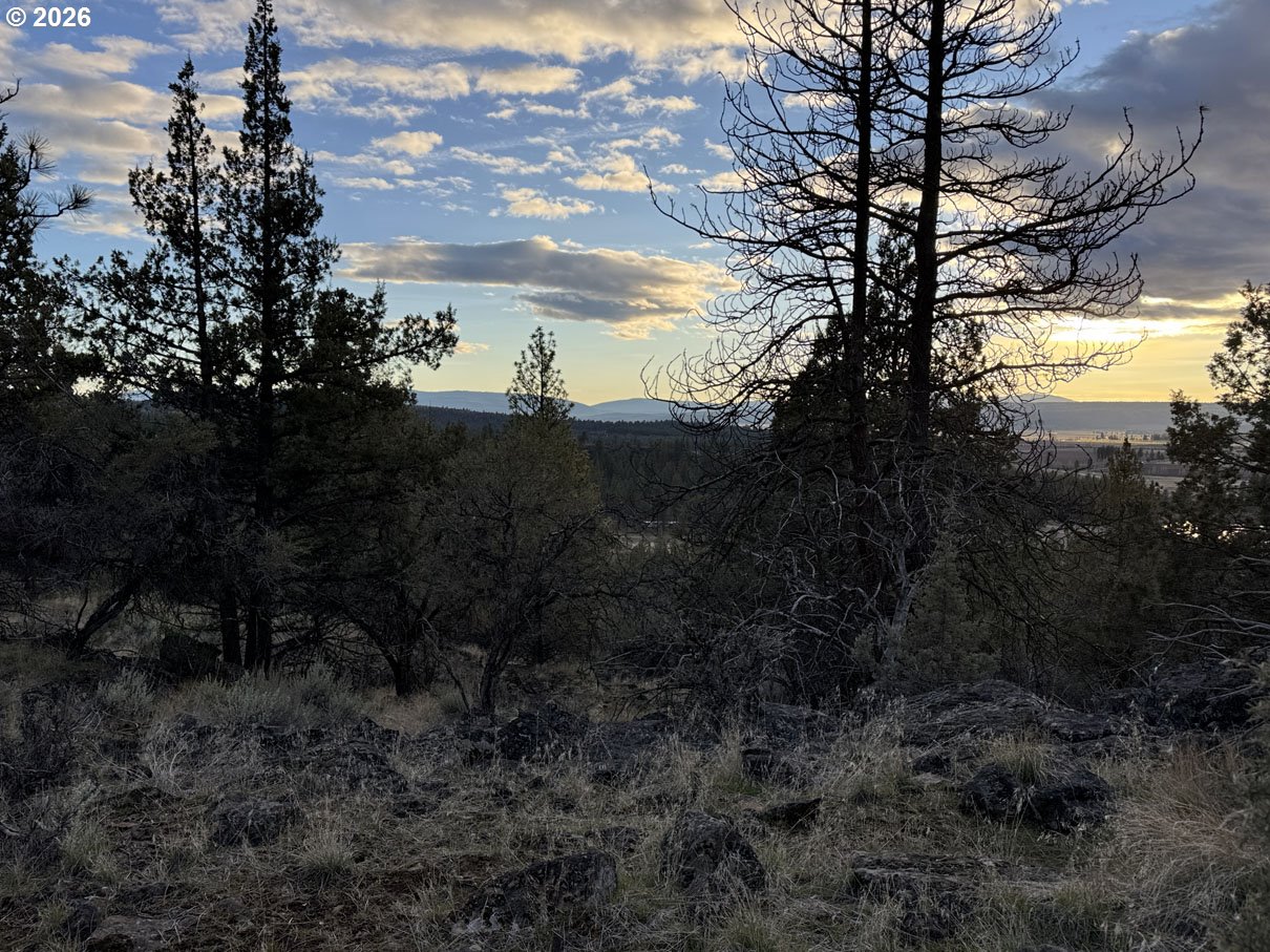 Prarie Dog Dr 13 Por Property Photo 33