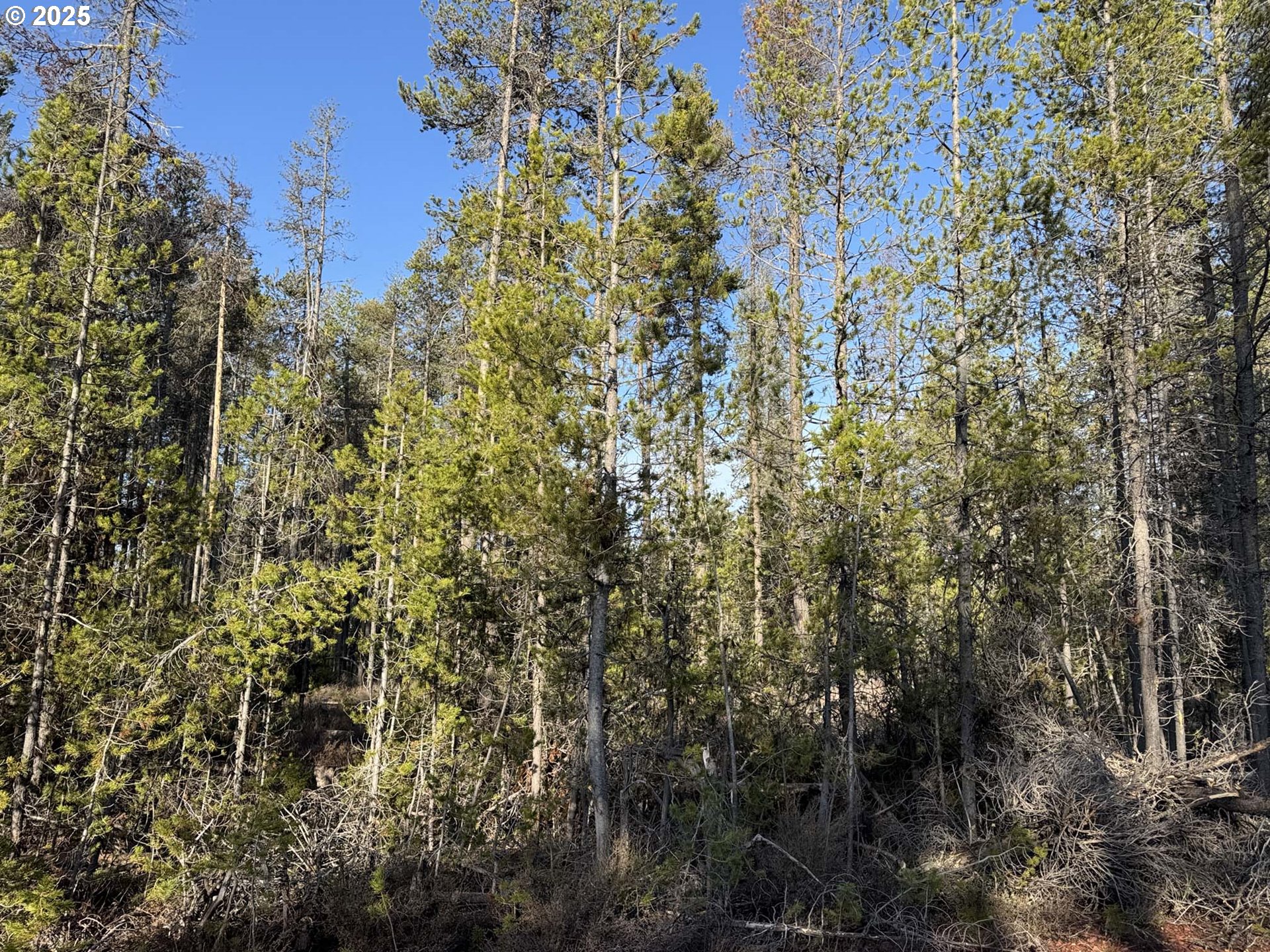 Artesian Dr 6 Property Photo 20