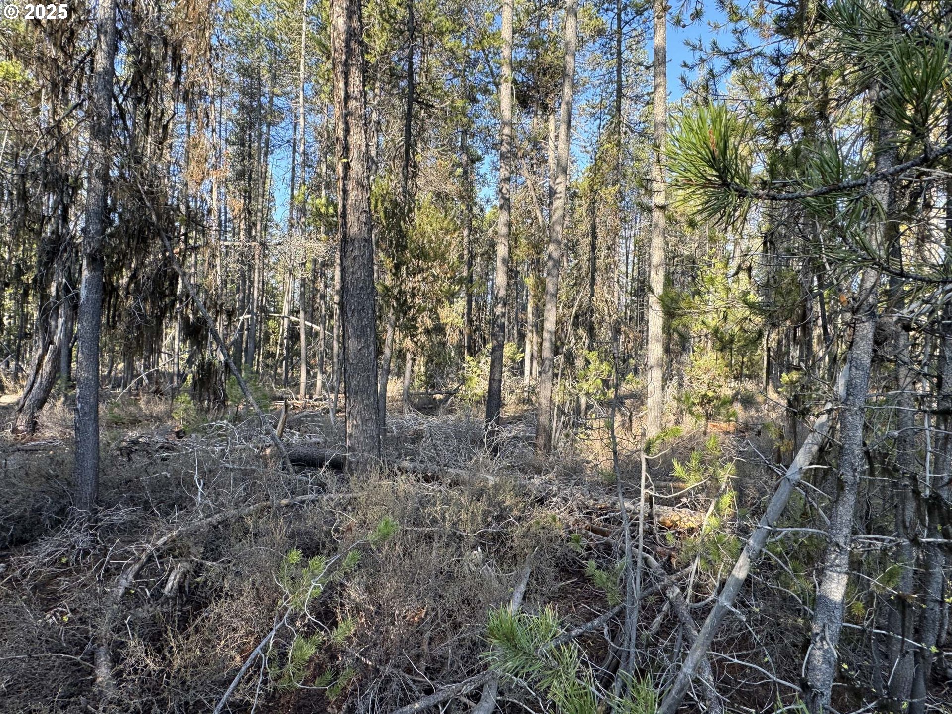Artesian Dr 6 Property Photo 30