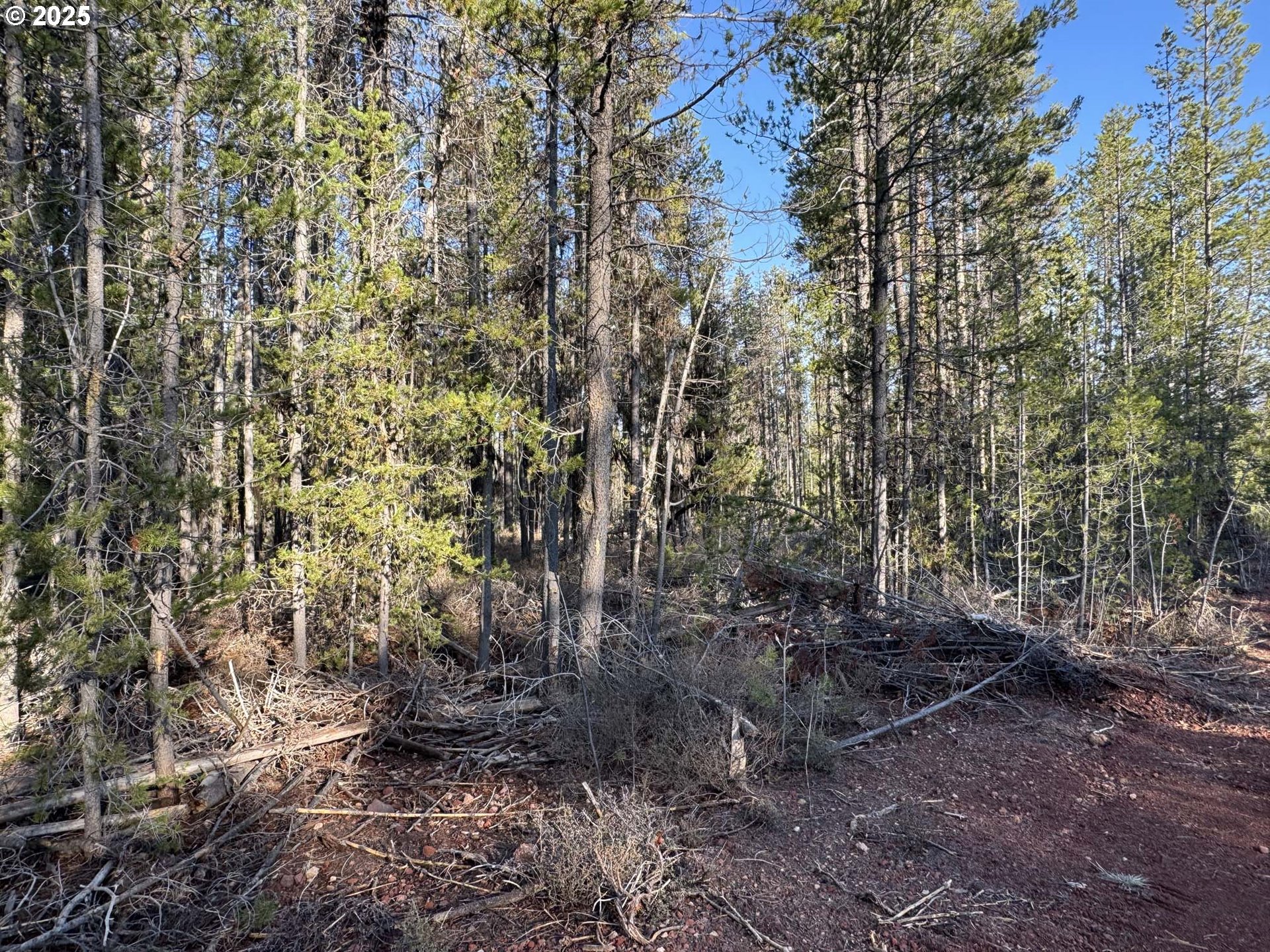Artesian Dr 6 Property Photo 34
