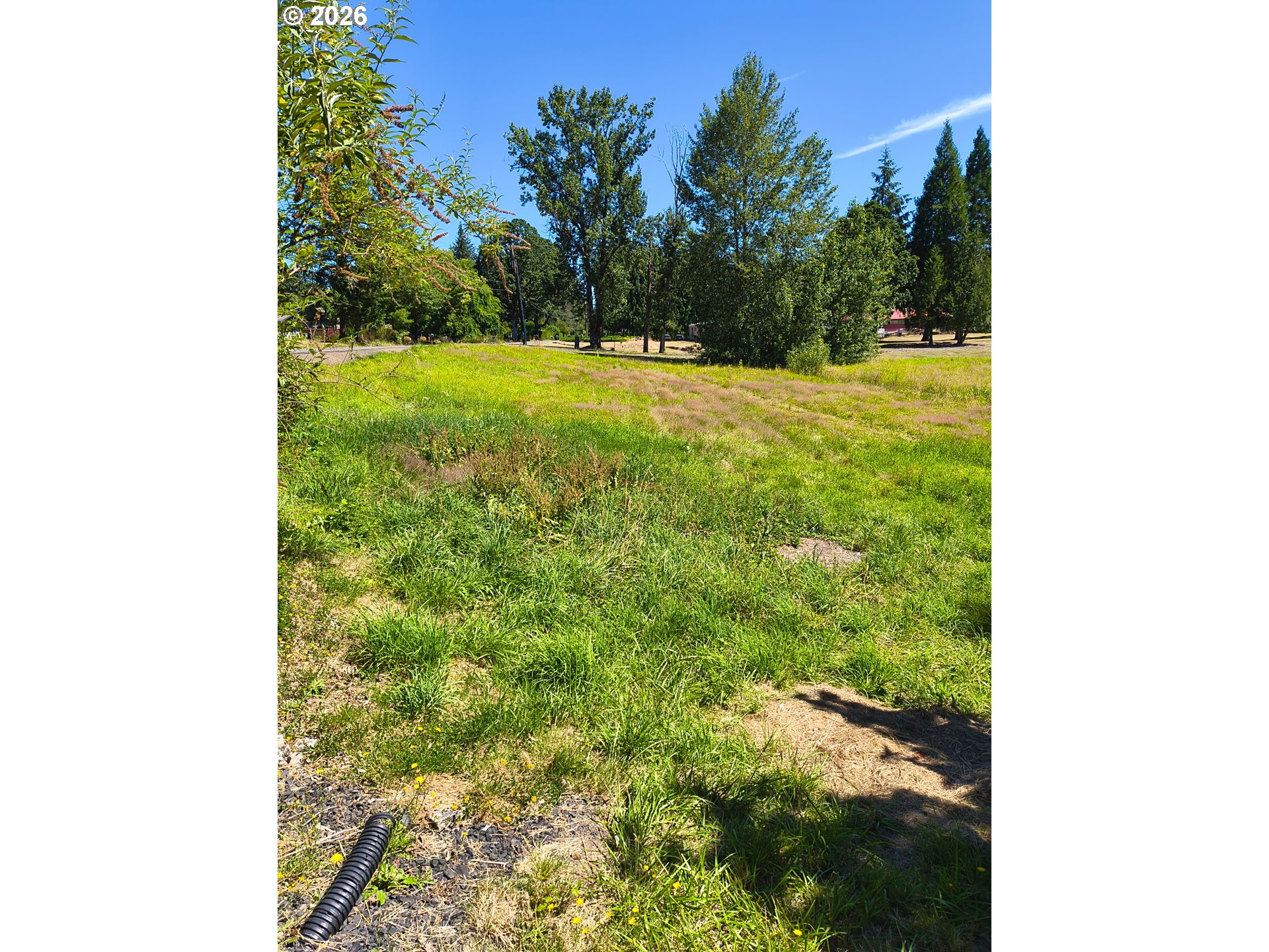 57510 S Morse Rd Property Photo 5