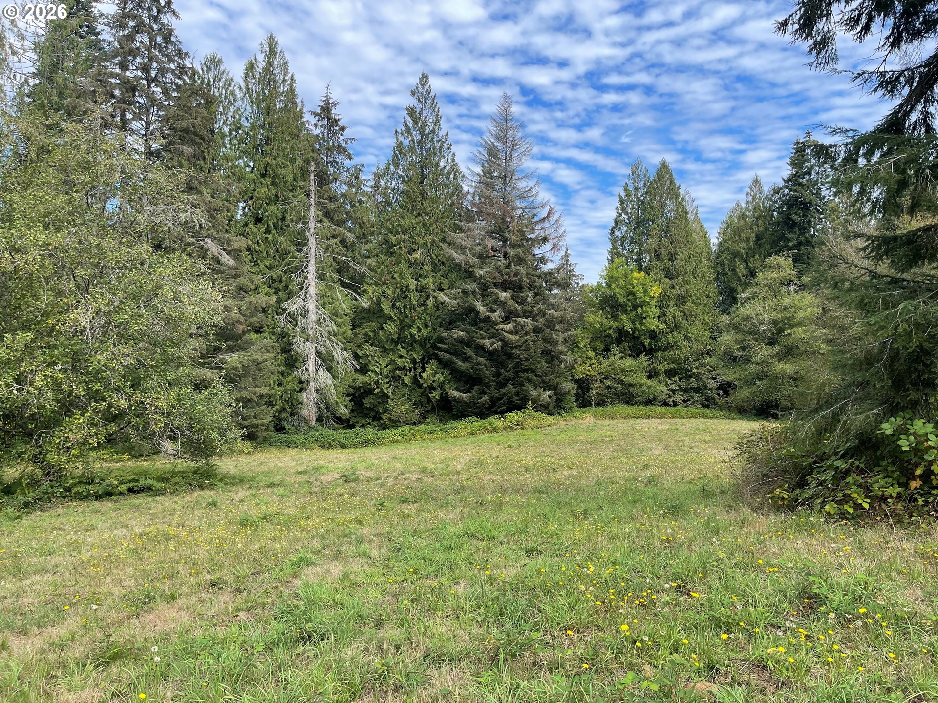 0 Brown Rd 1 Property Photo 15