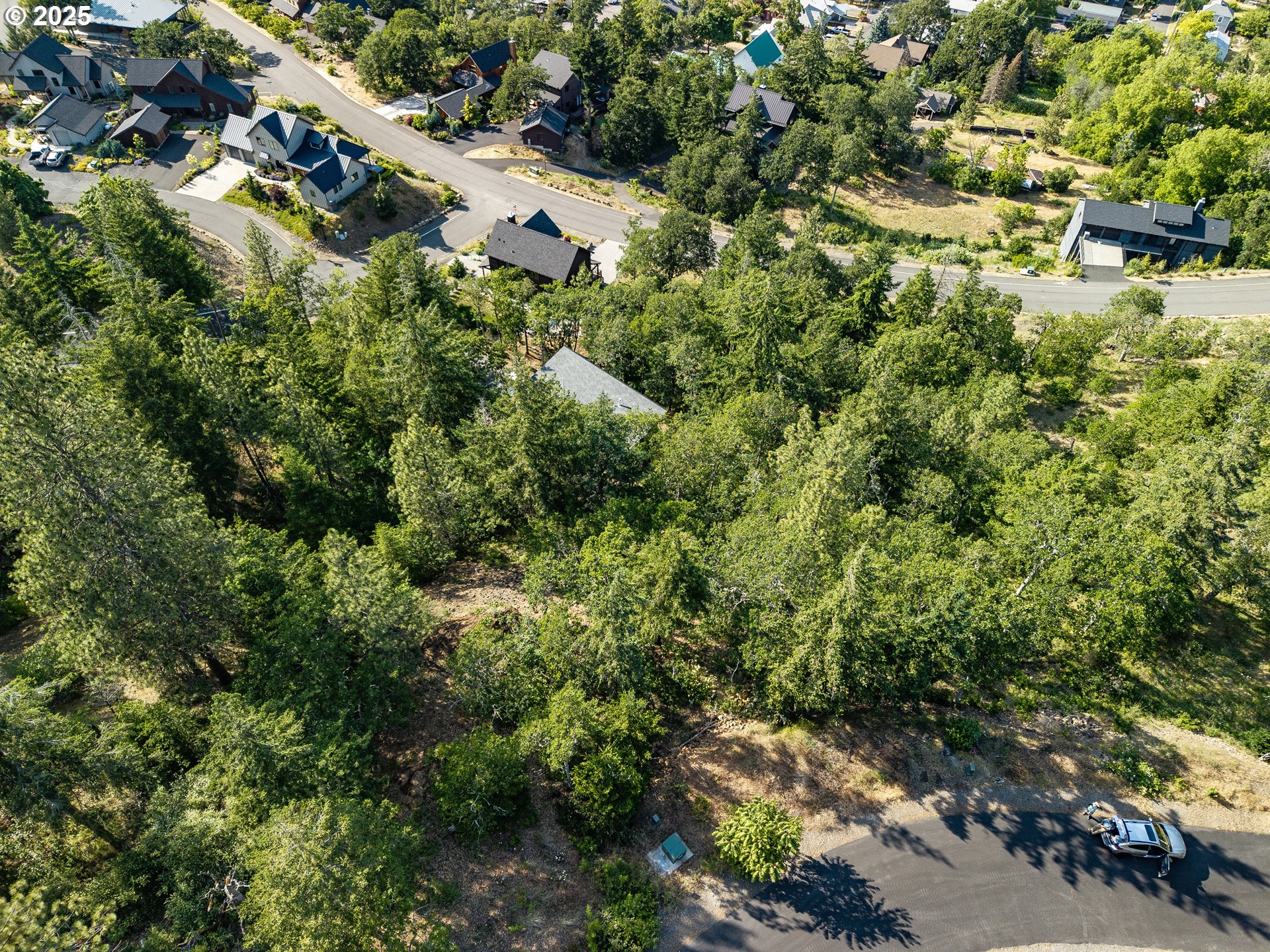 Coyote Ct Lot #44 Property Photo 5