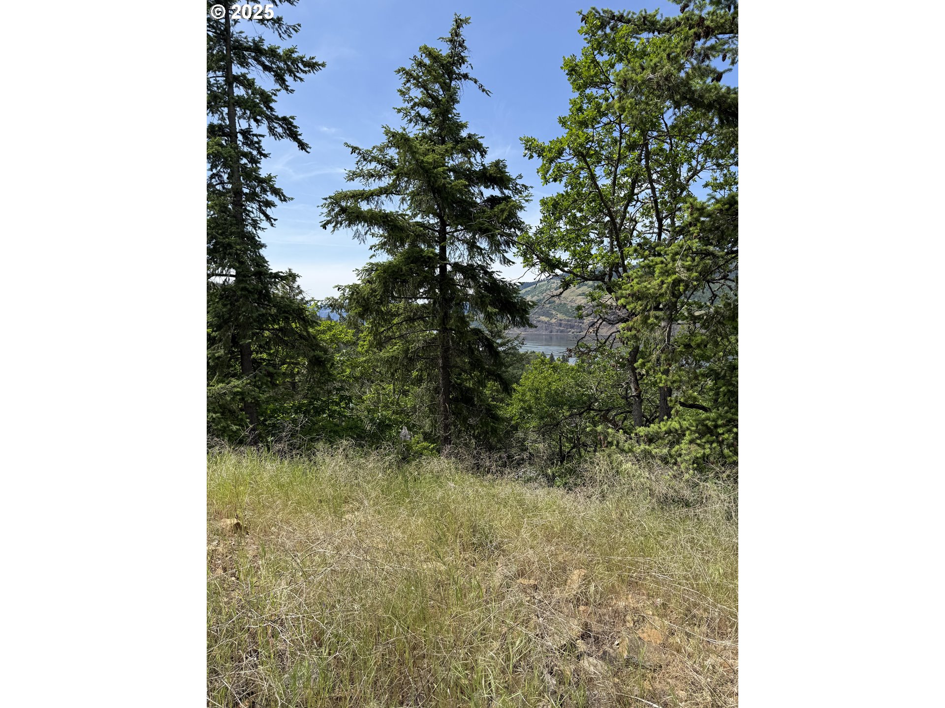 Coyote Ct Lot #44 Property Photo 8