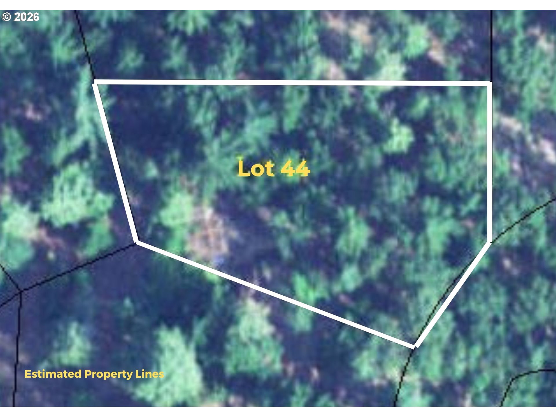 Coyote Ct Lot #44 Property Photo 10