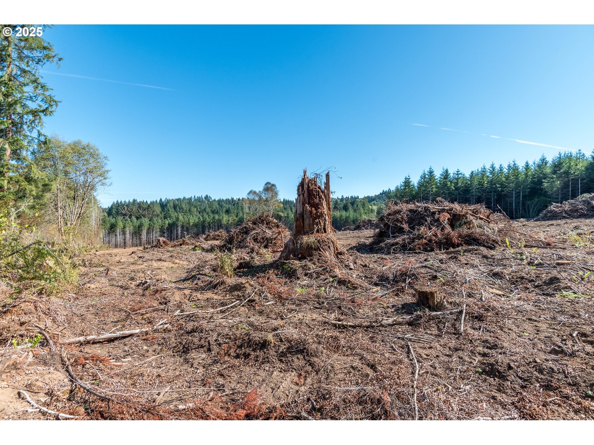 Orion Property Photo 2