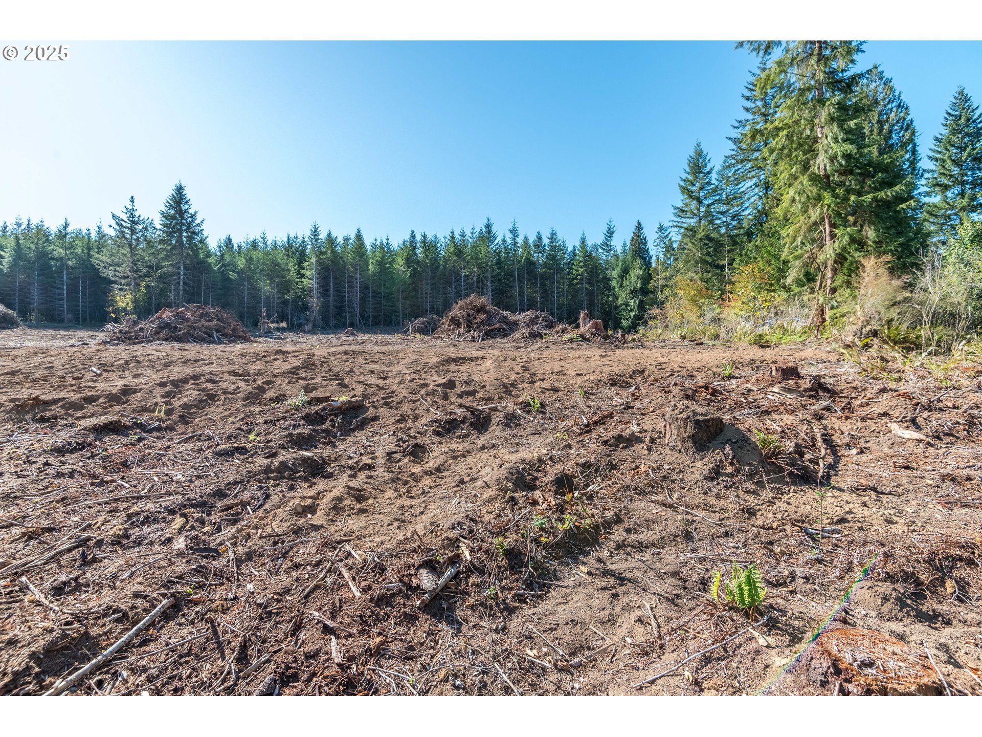 Orion Property Photo 3