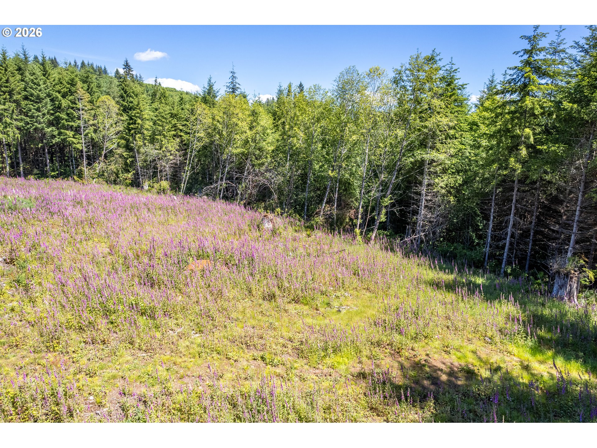 Orion Property Photo 6