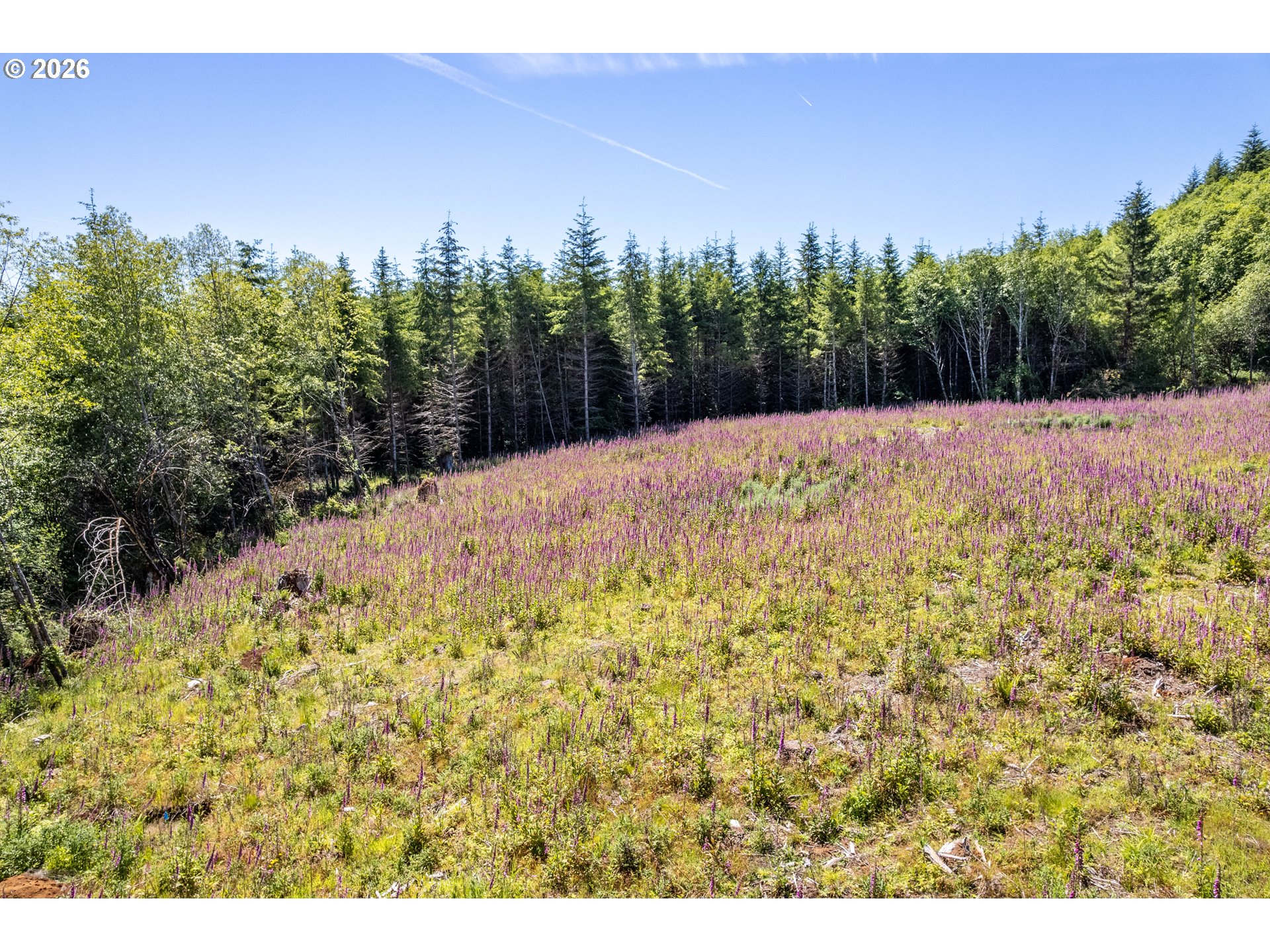 Orion Property Photo 7
