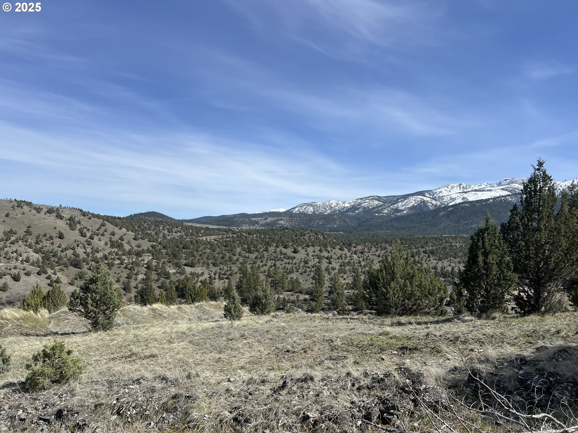 0 Blue Gulch Rd Property Photo 1