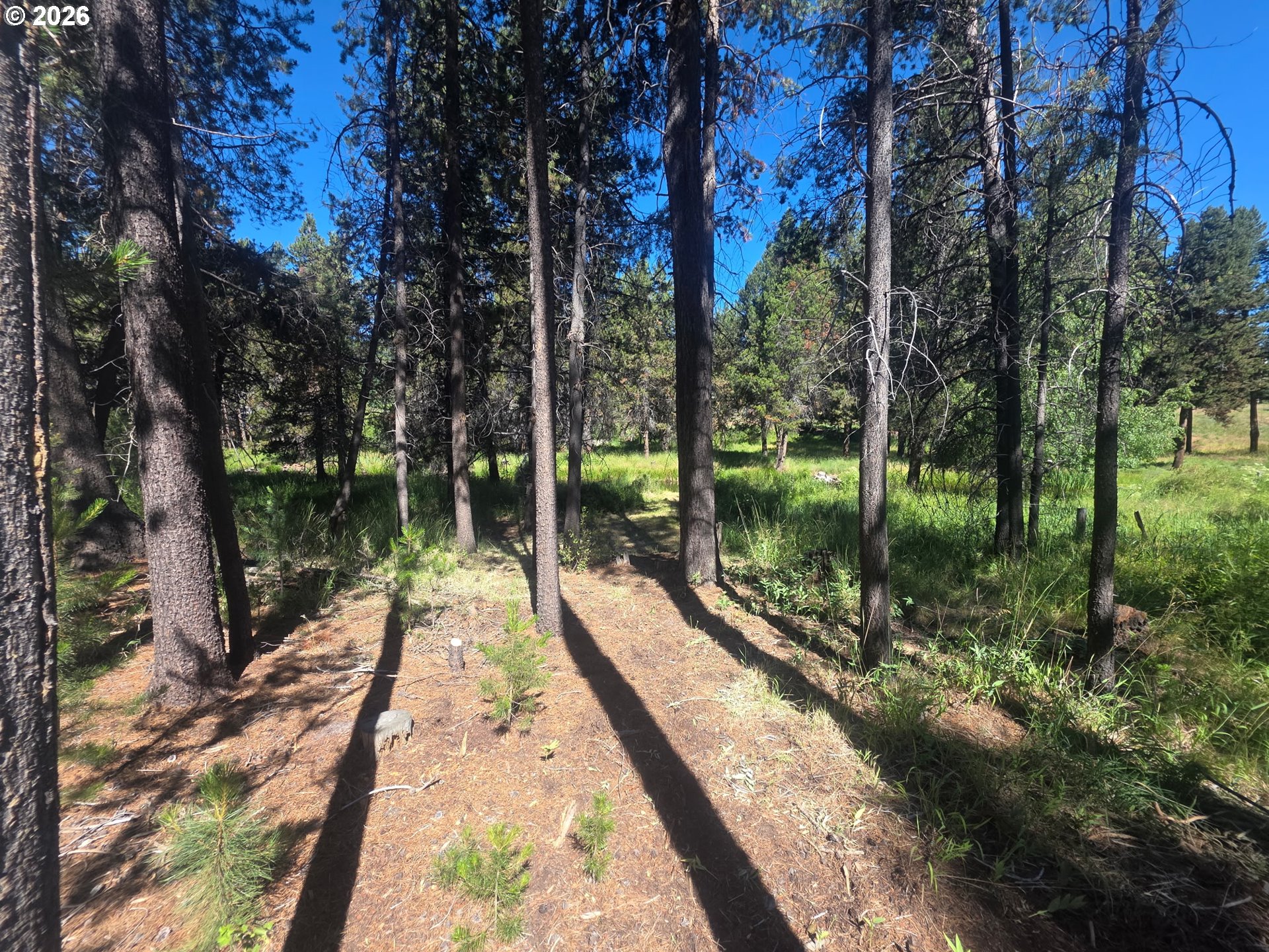17040 Island Loop Way Property Photo 2