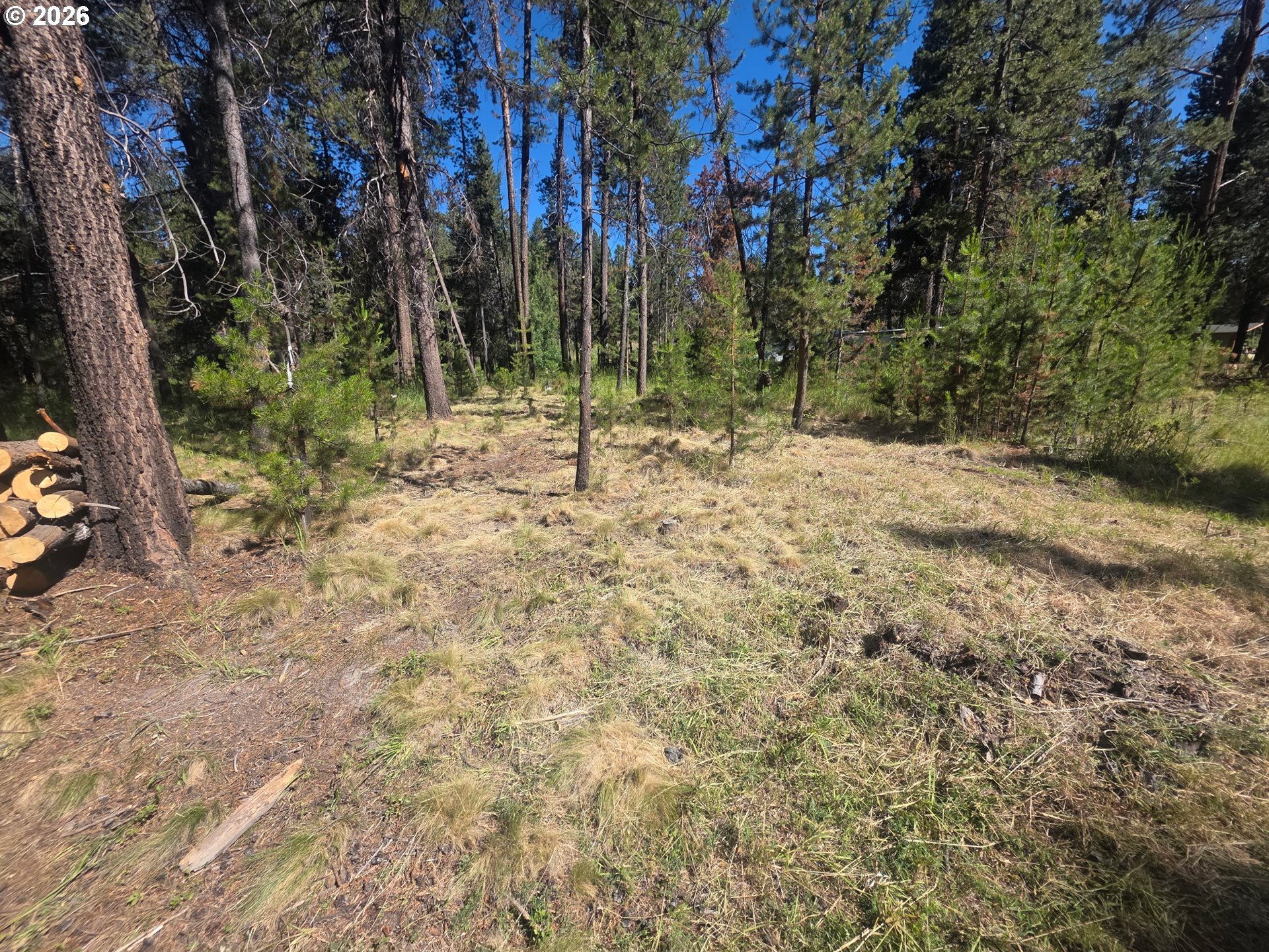 17040 Island Loop Way Property Photo 3