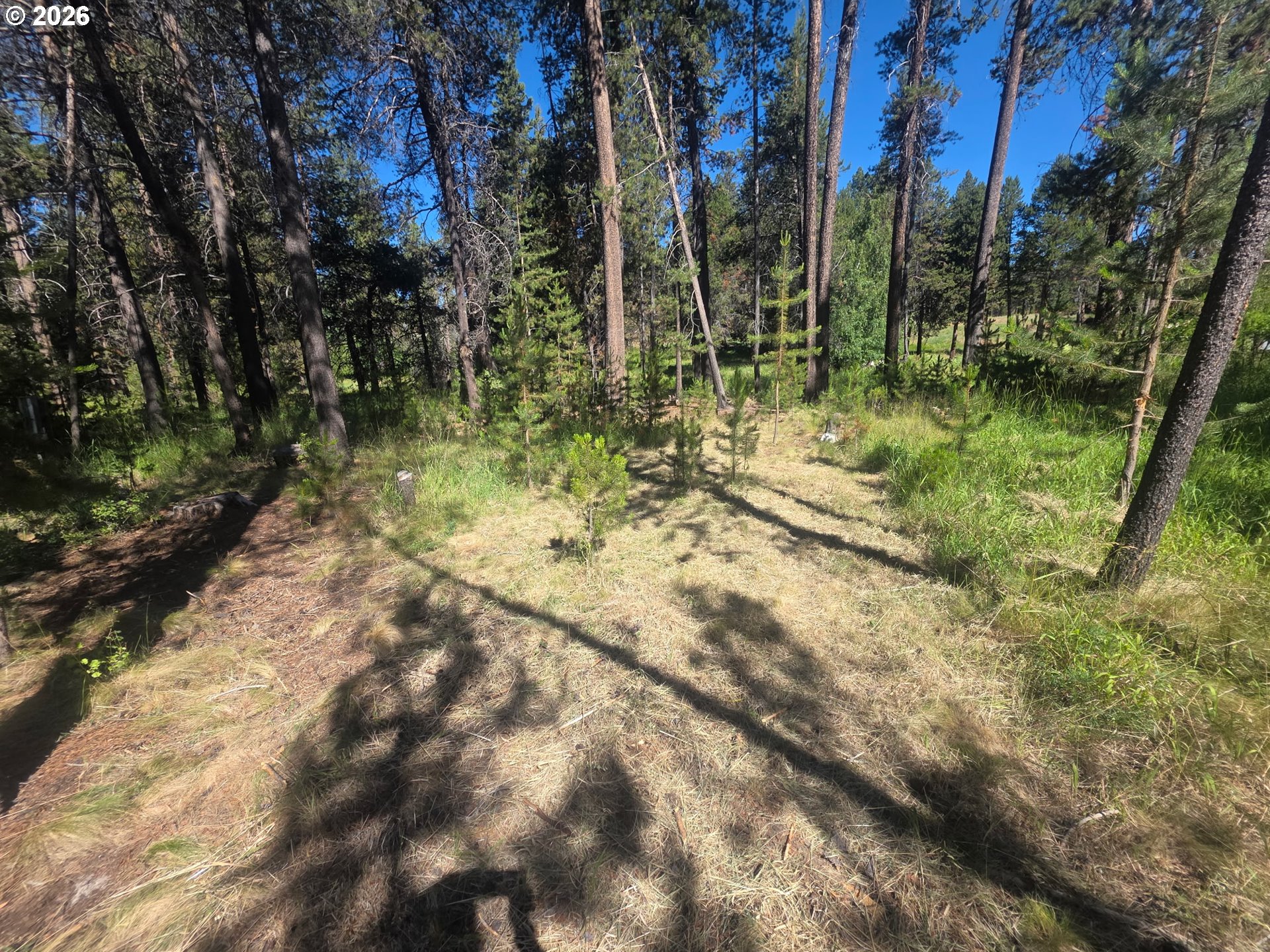 17040 Island Loop Way Property Photo 6