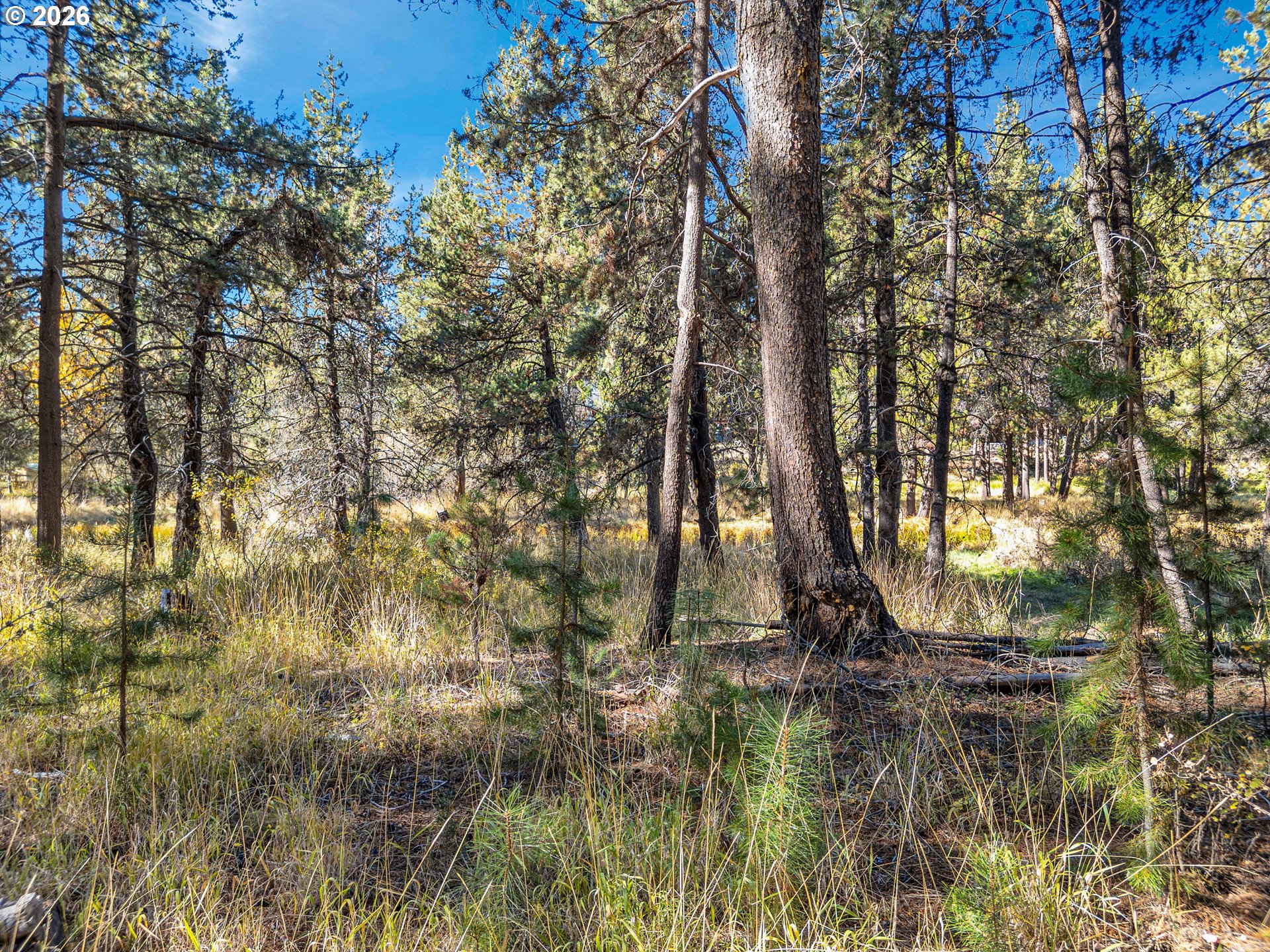 17040 Island Loop Way Property Photo 12