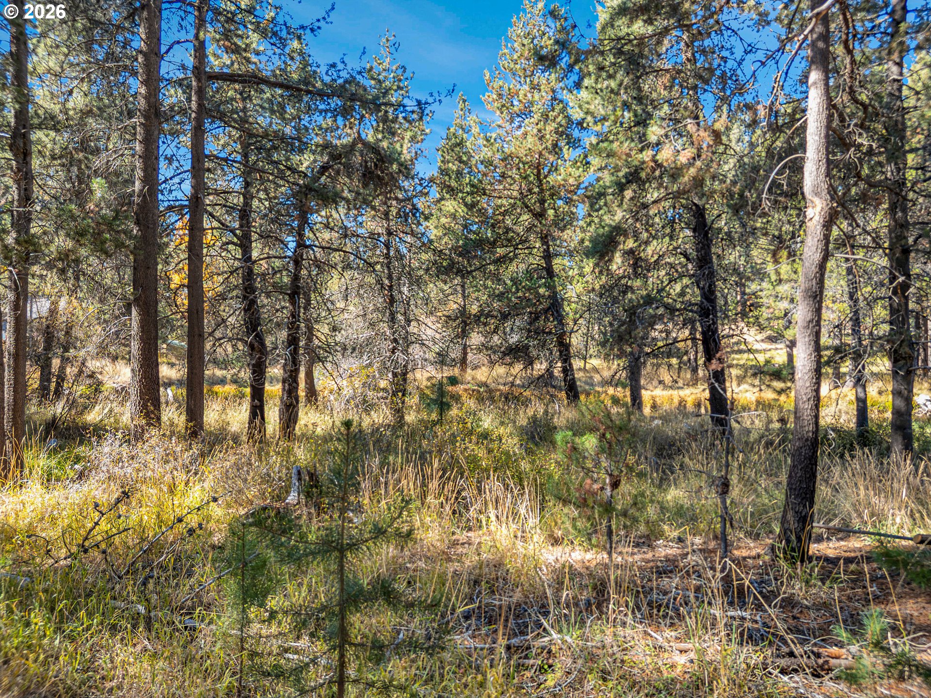 17040 Island Loop Way Property Photo 13