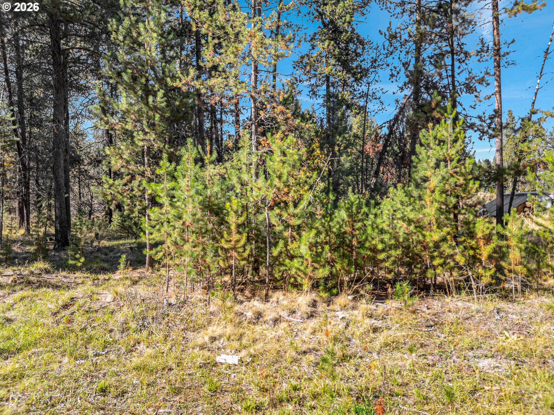 17040 Island Loop Way Property Photo 14