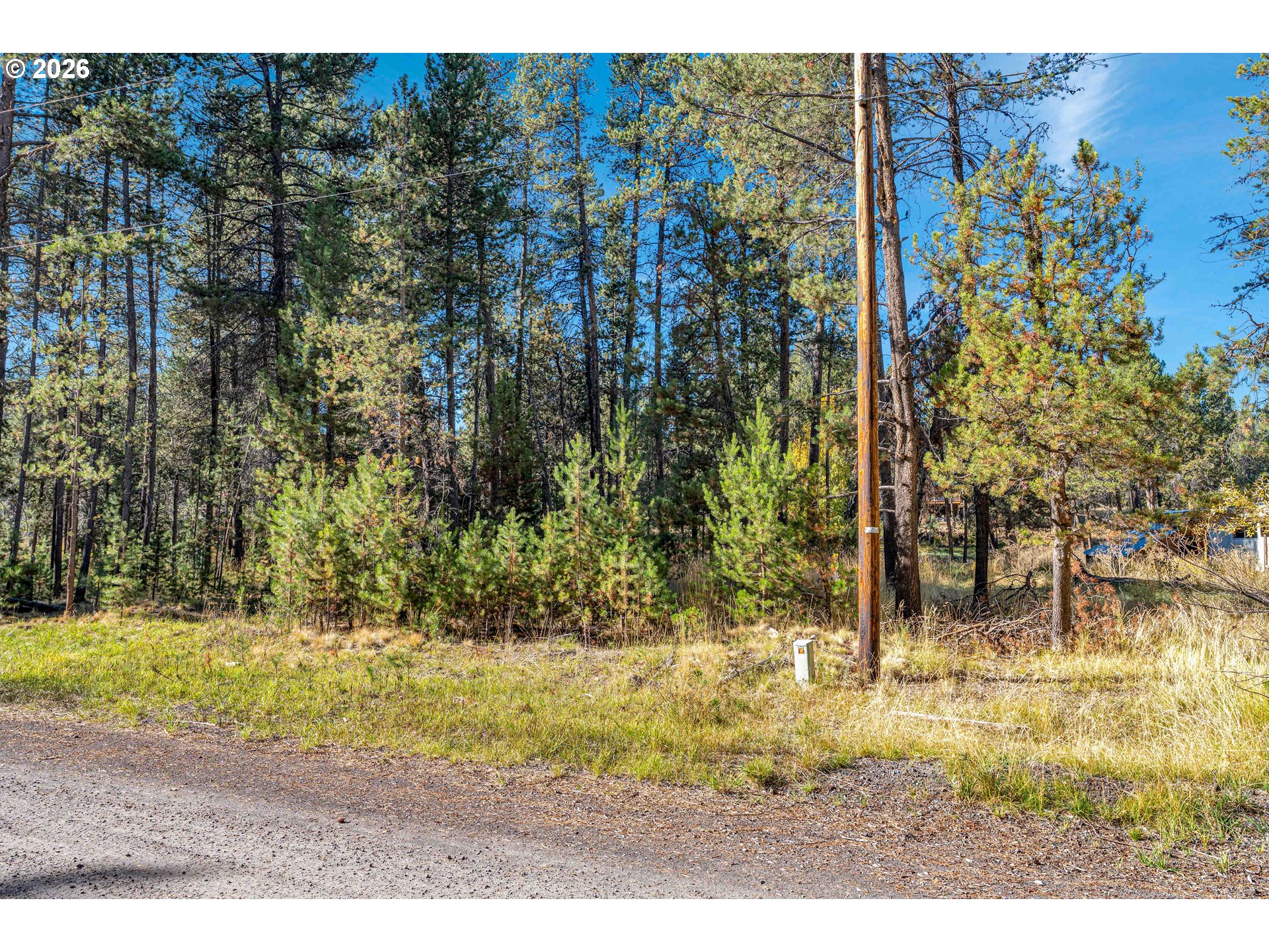 17040 Island Loop Way Property Photo 15