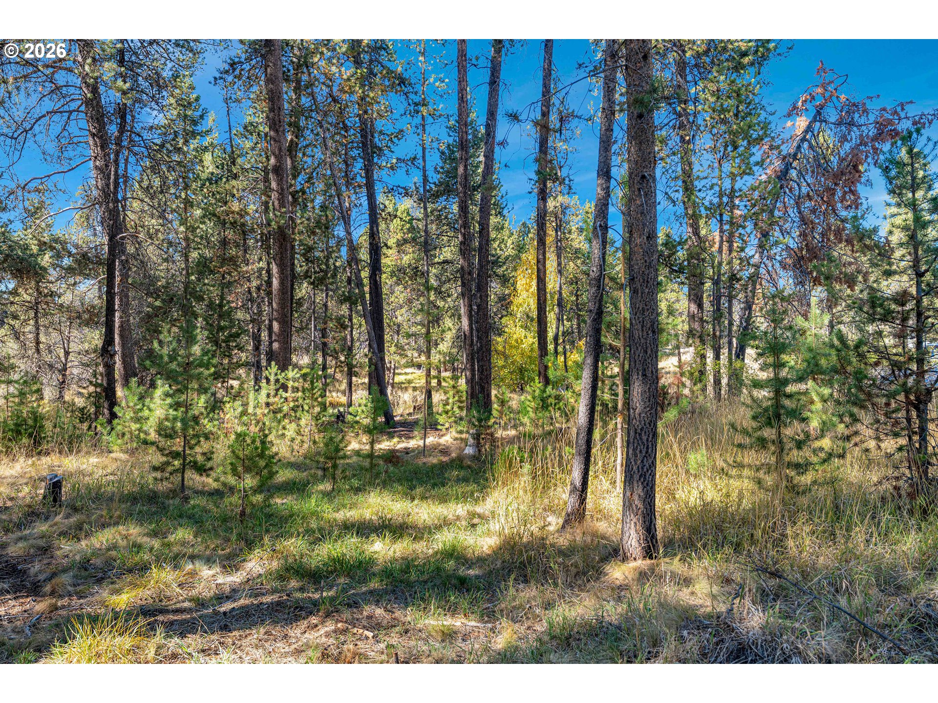 17040 Island Loop Way Property Photo 16
