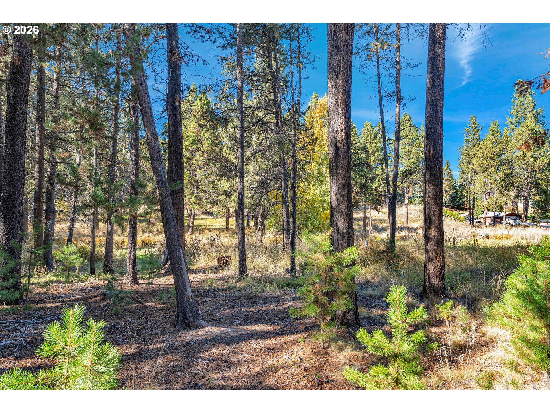 17040 Island Loop Way Property Photo 17