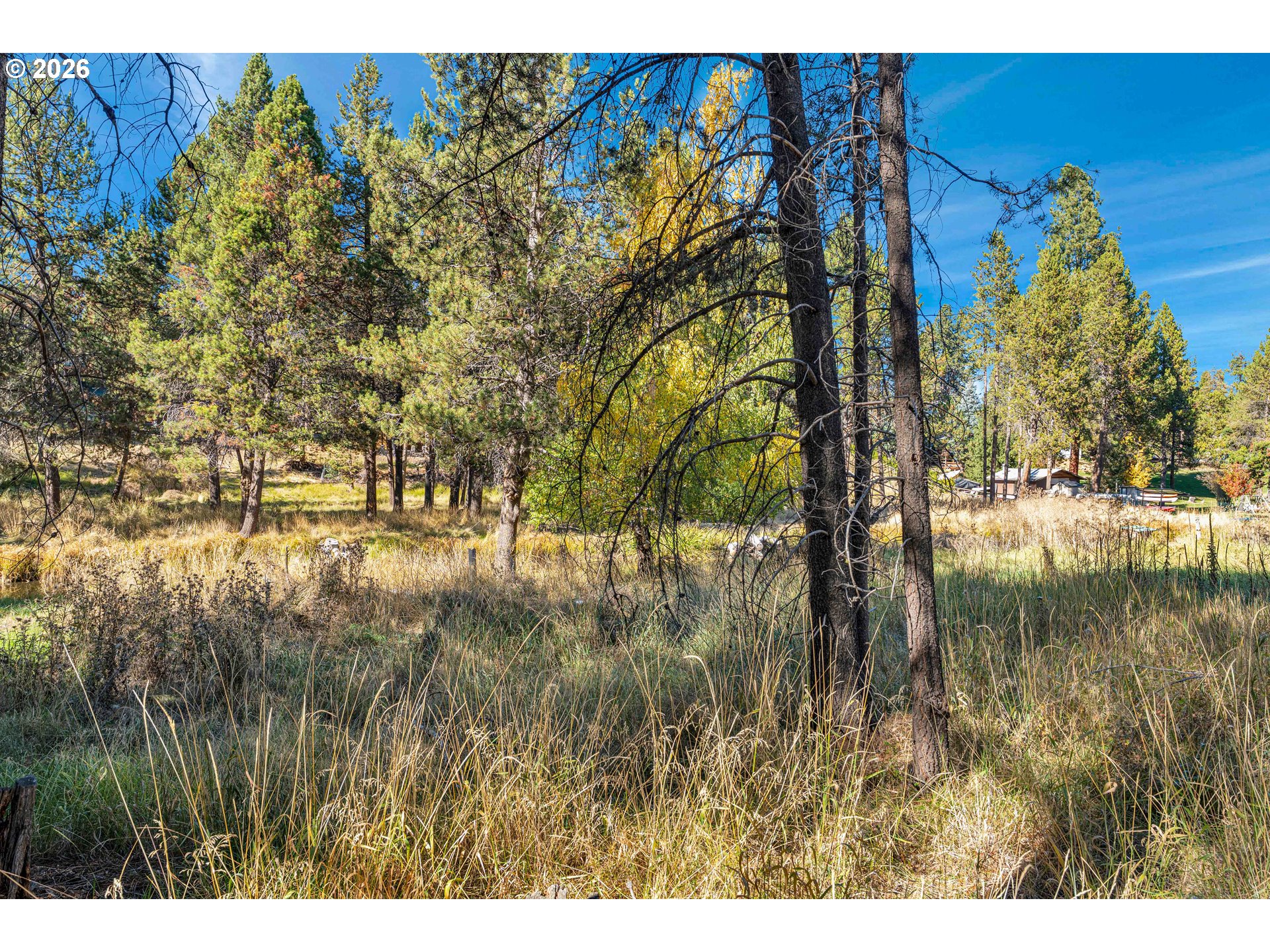 17040 Island Loop Way Property Photo 18