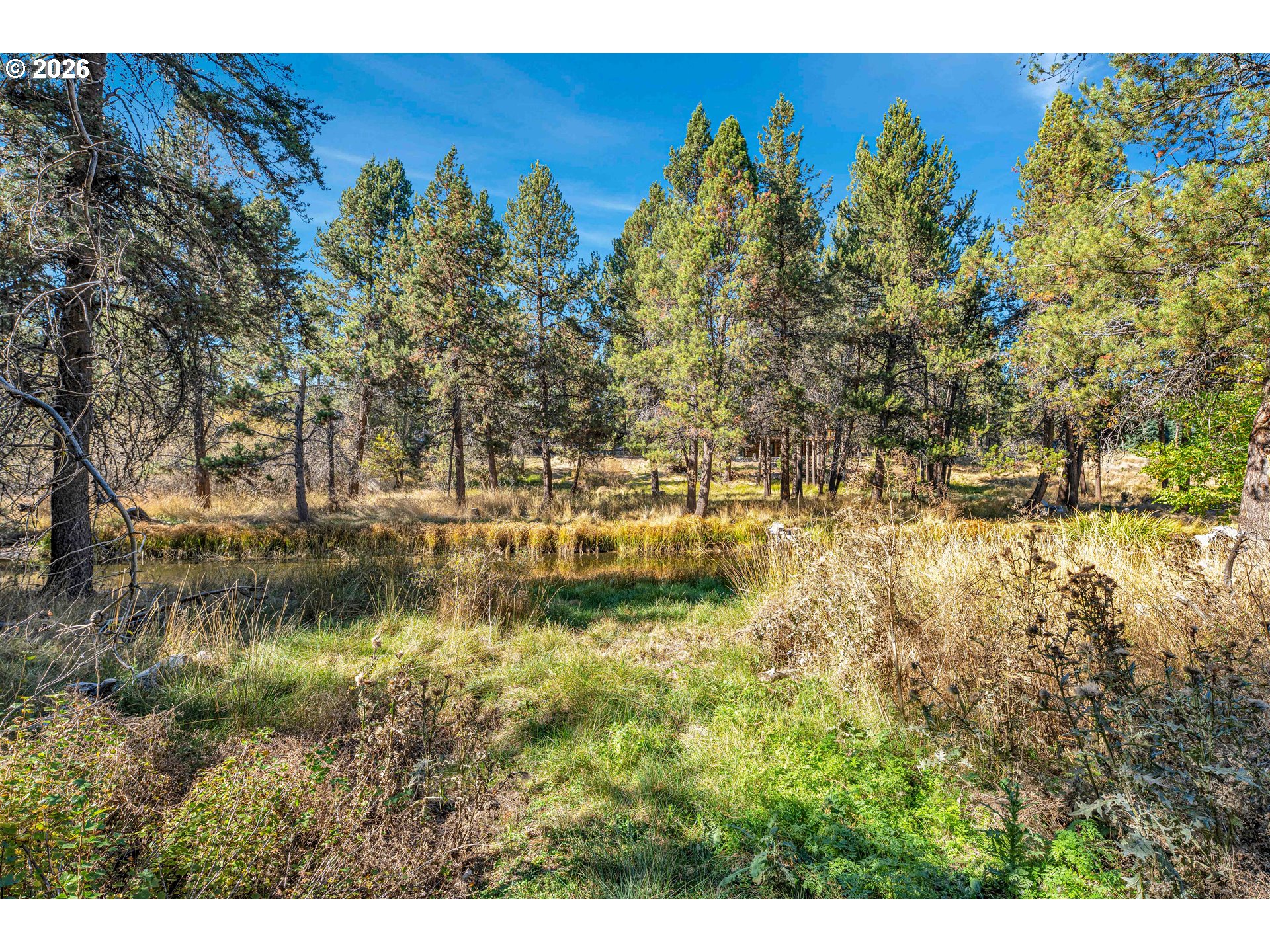 17040 Island Loop Way Property Photo 19