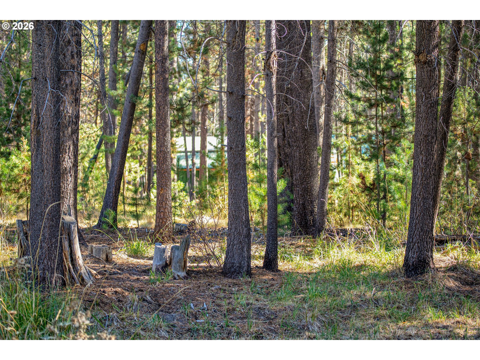17040 Island Loop Way Property Photo 27