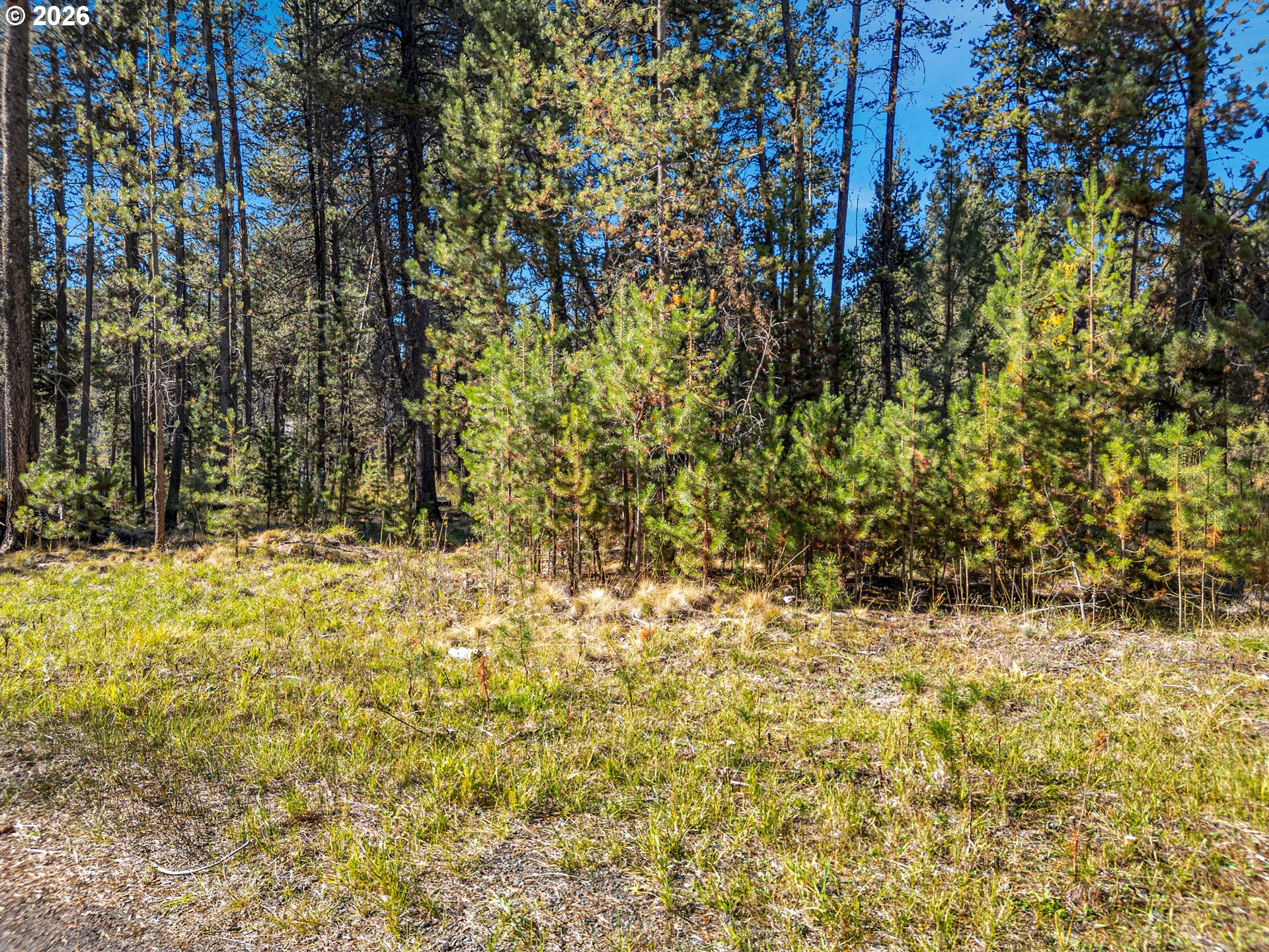 17040 Island Loop Way Property Photo 34