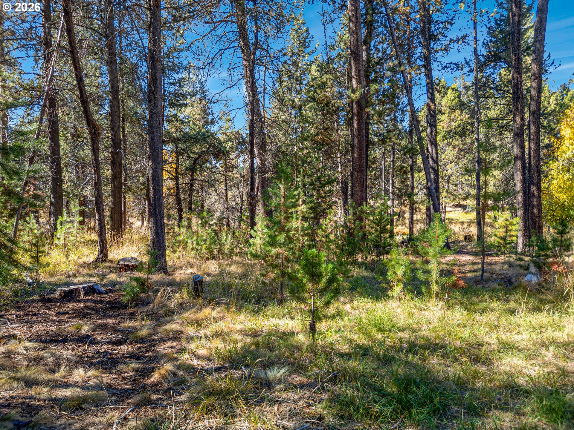 17040 Island Loop Way Property Photo 35